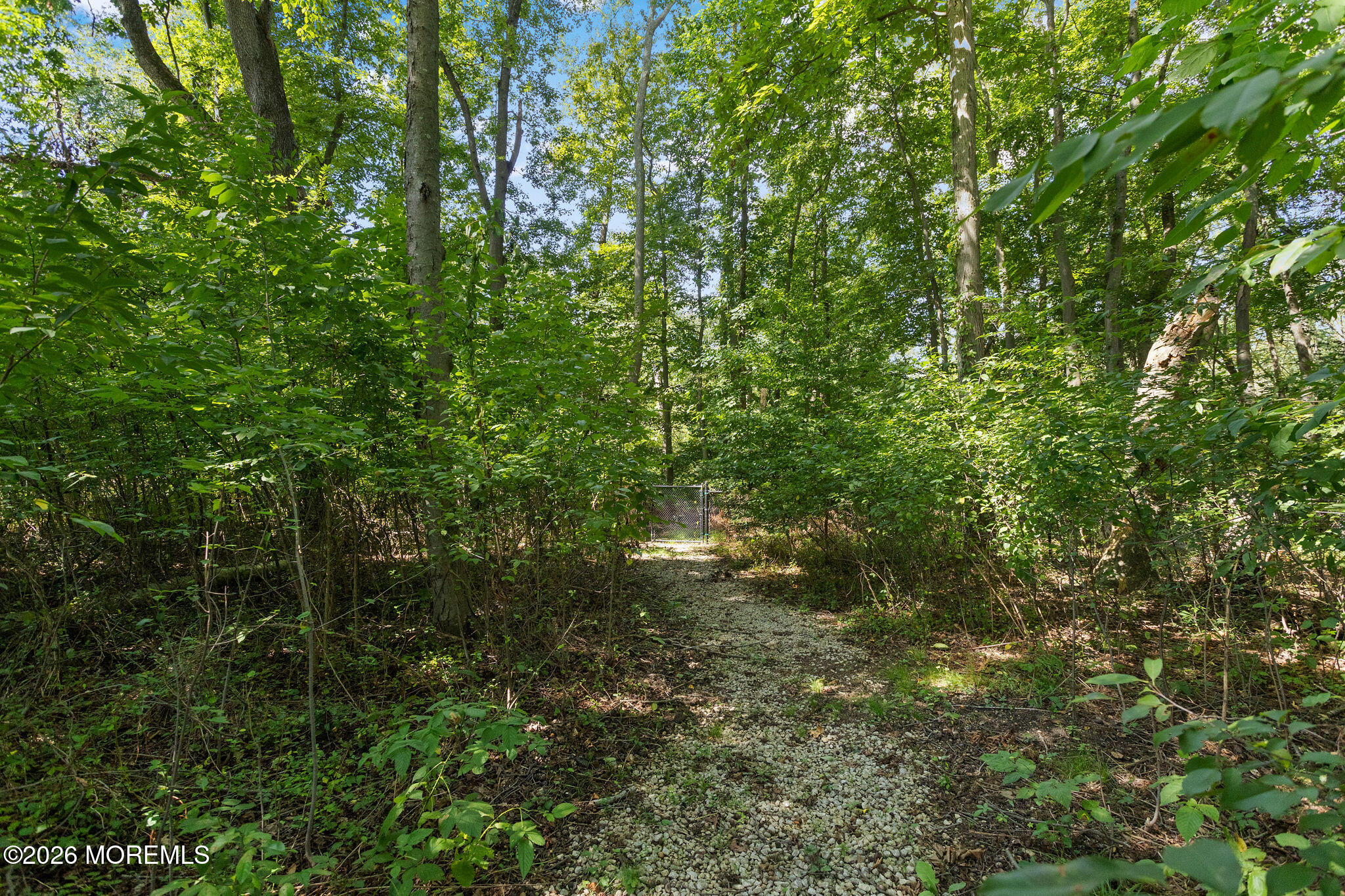20 Hankins Farm Road Allentown NJ 08501