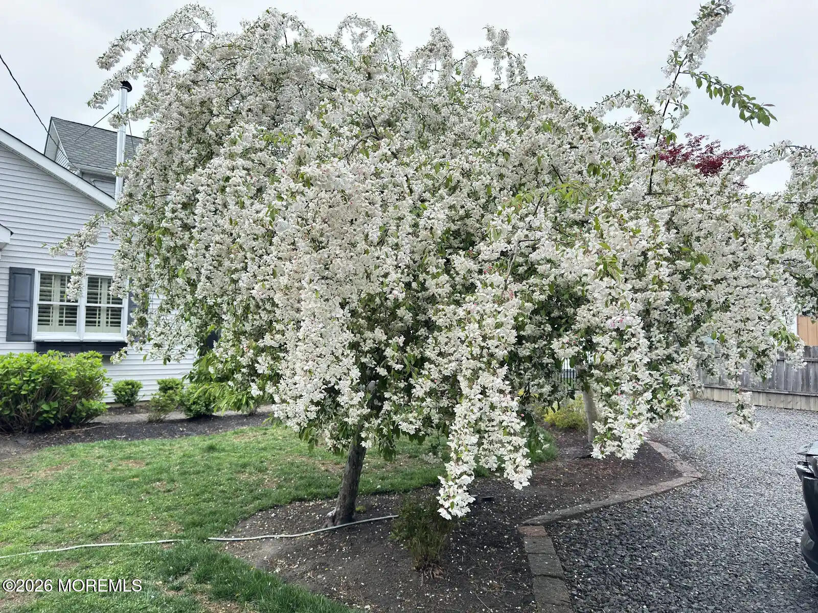 703 Sea Girt Avenue Sea Girt NJ 08750