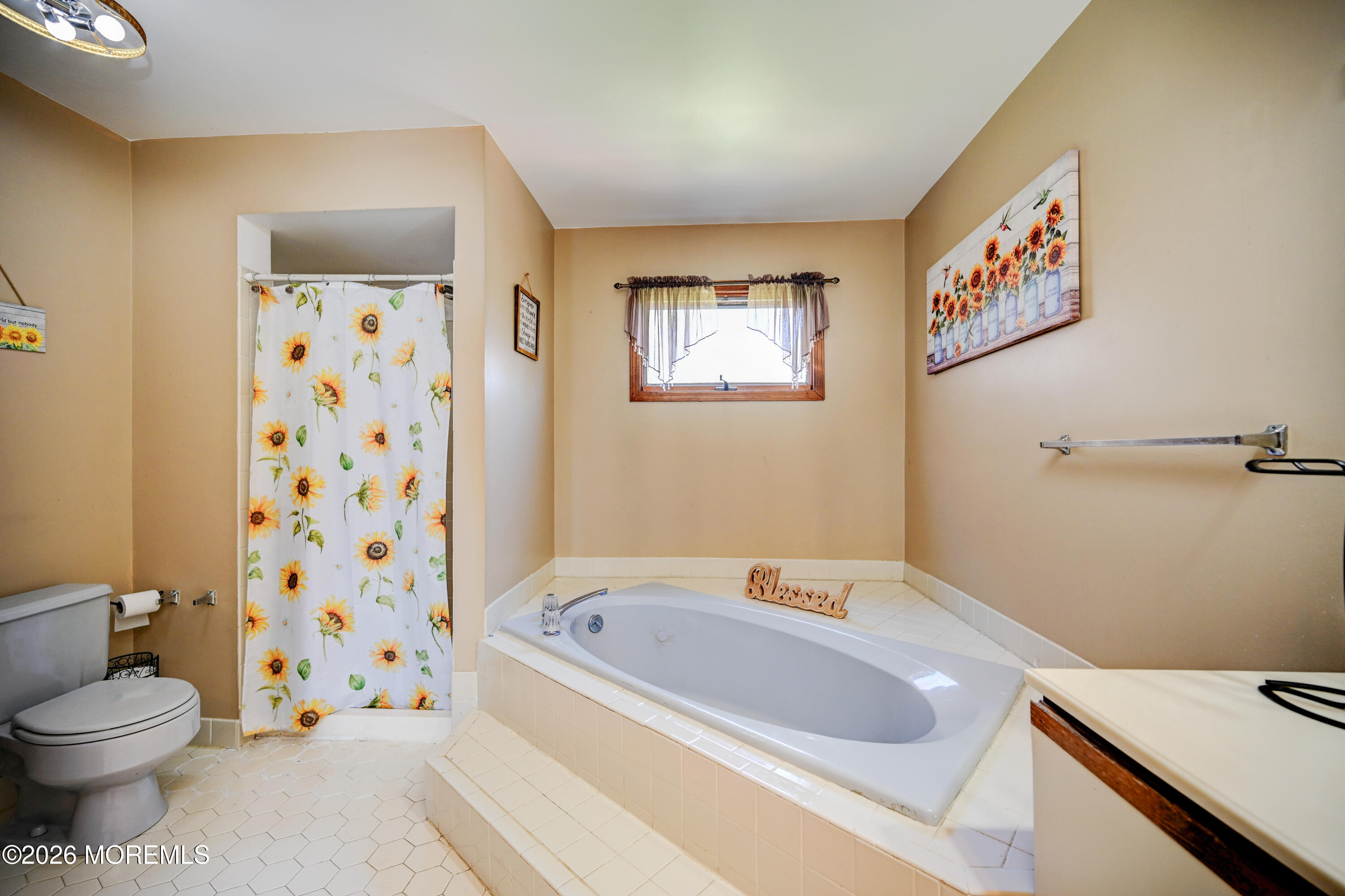 23 Red Hawk Road S Colts Neck NJ 07722