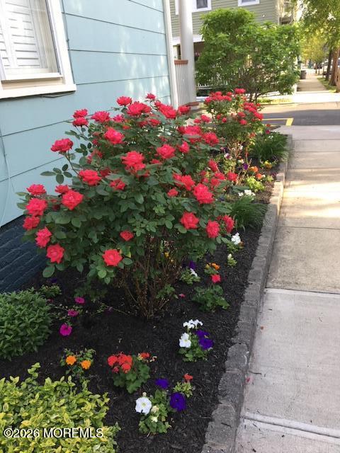 89 Mount Hermon Way Ocean Grove NJ 07756
