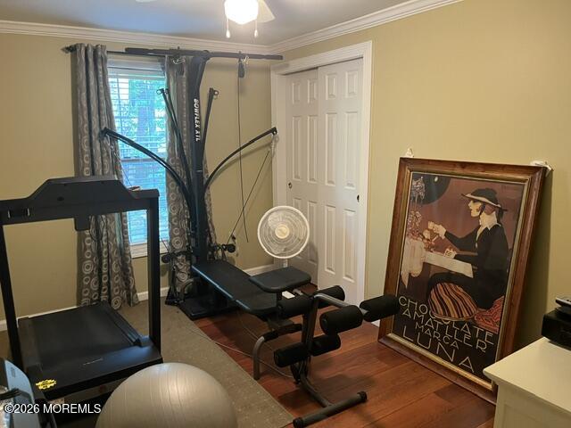39 Hibiscus Place Jackson NJ 08527