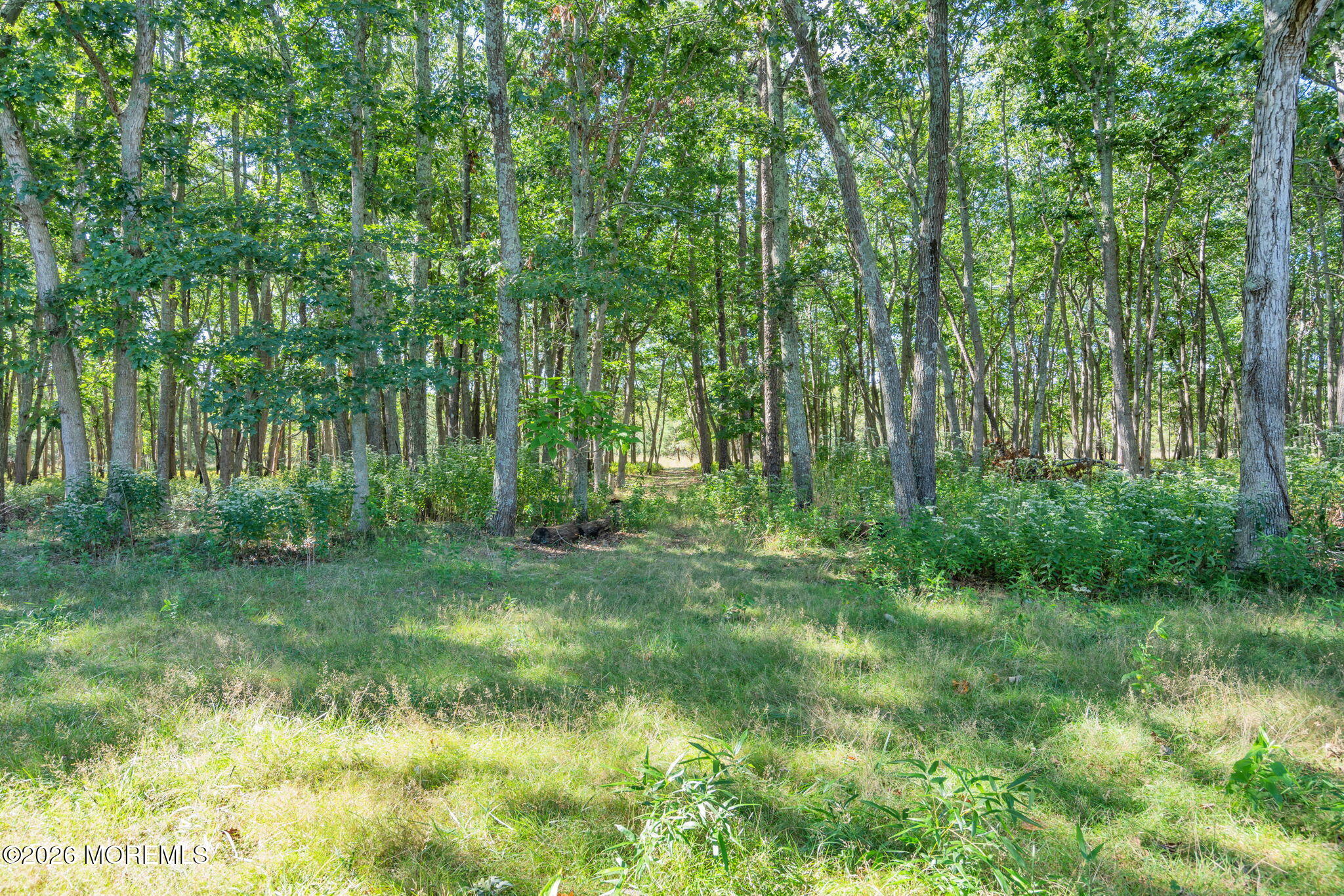 141 Sunset Drive Forked River NJ 08731