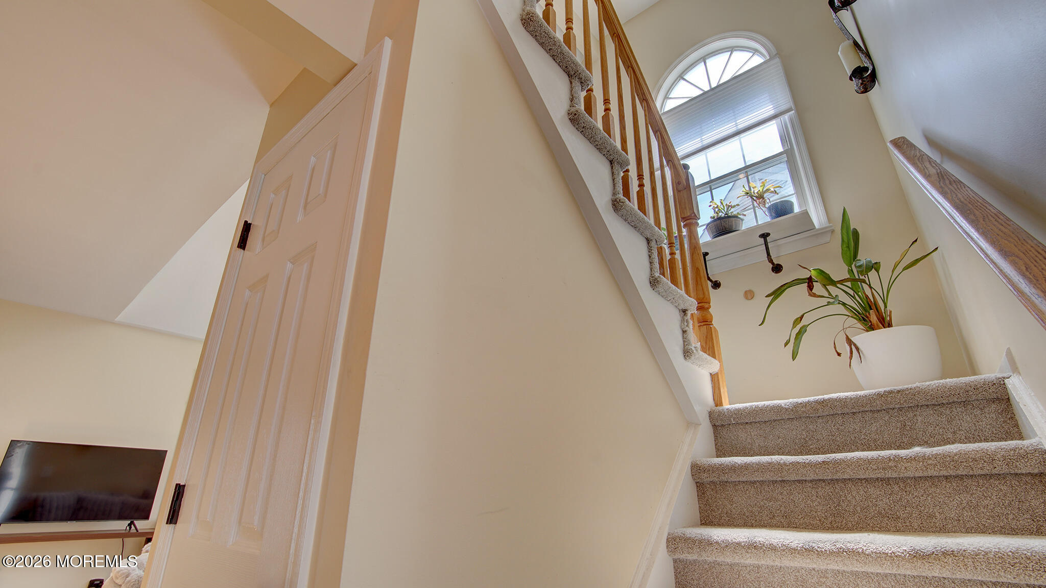 16 Whitman Court Freehold NJ 07728