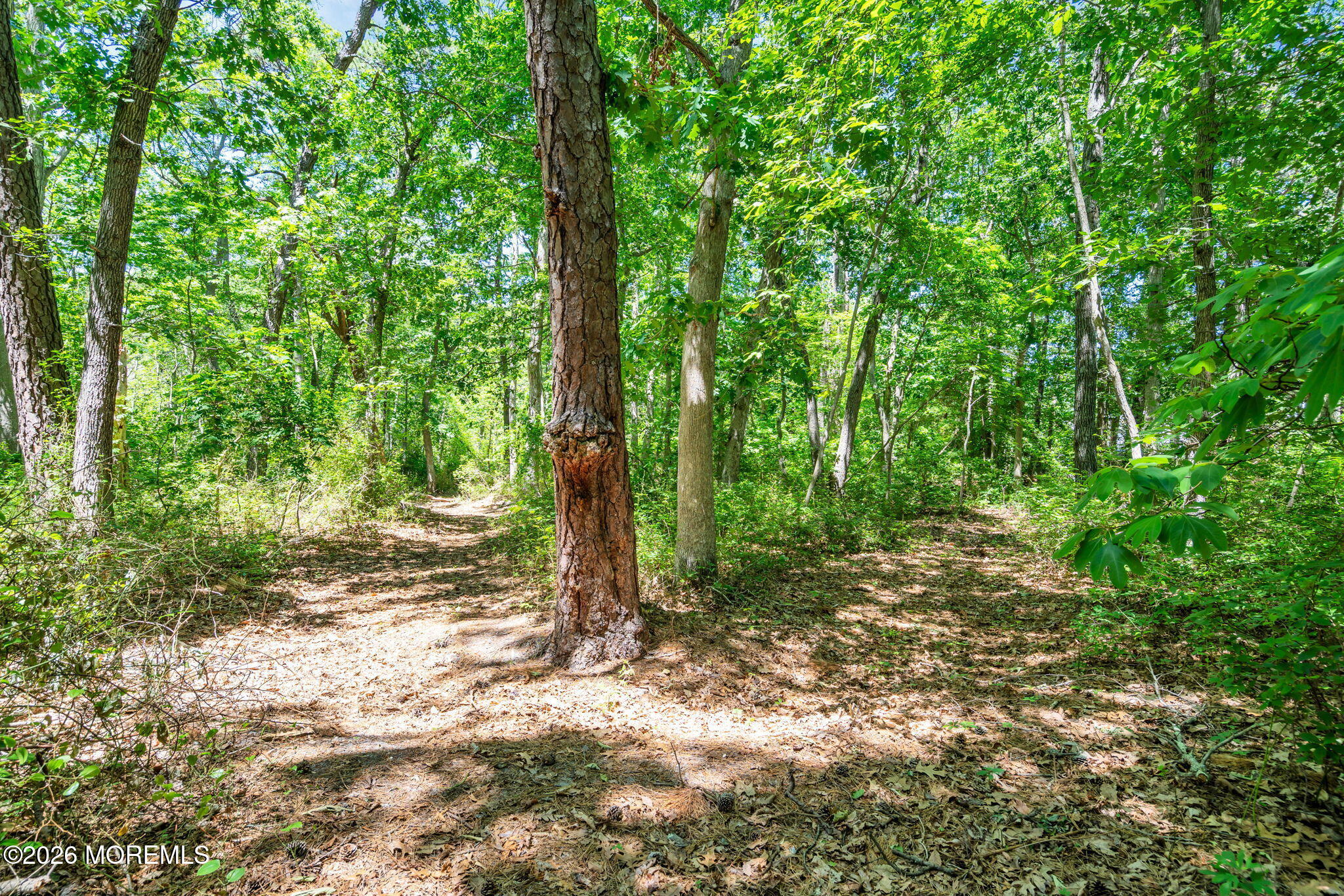 3 Stoneham Drive Brick NJ 08724
