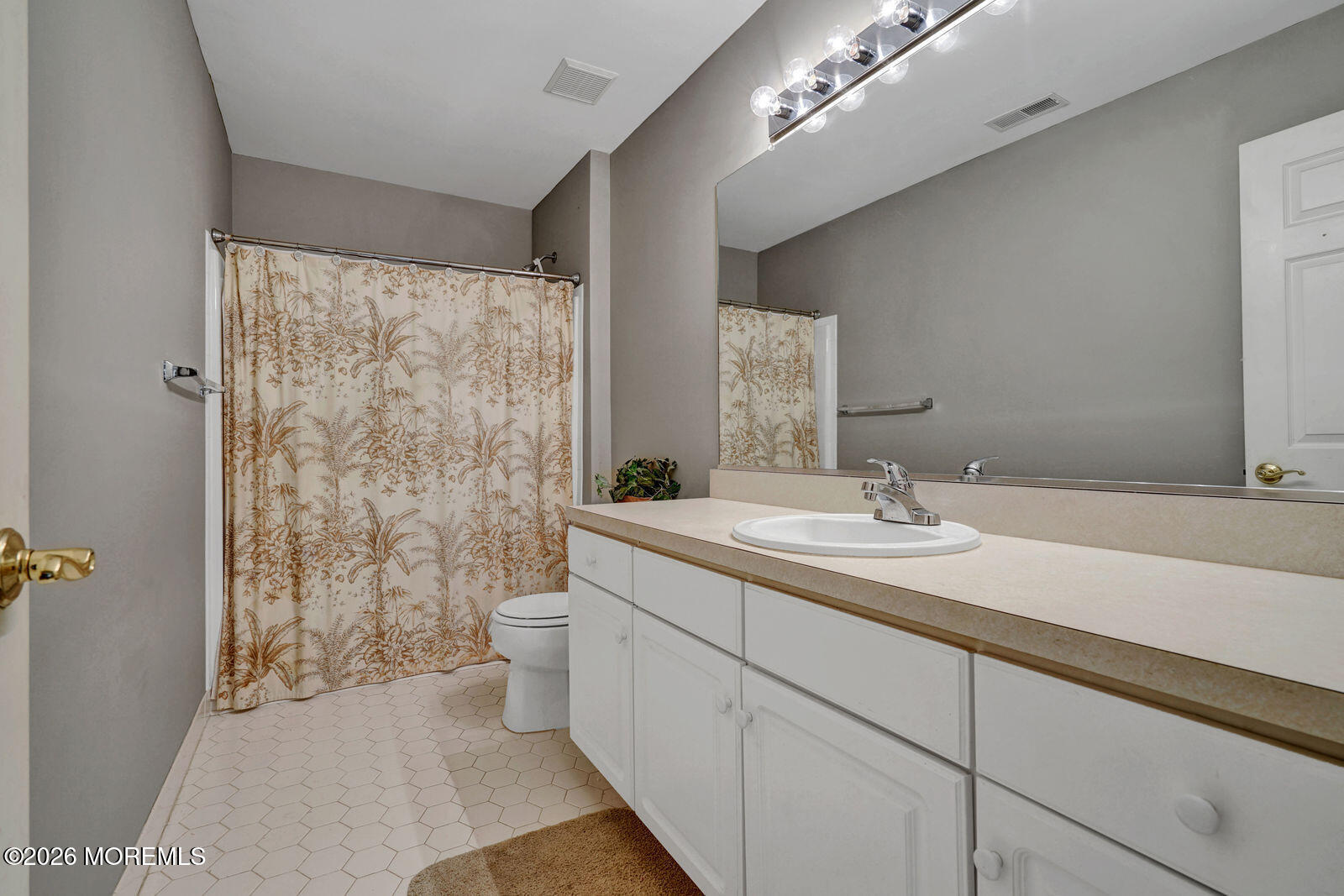 9 Olena Drive Jackson NJ 08527