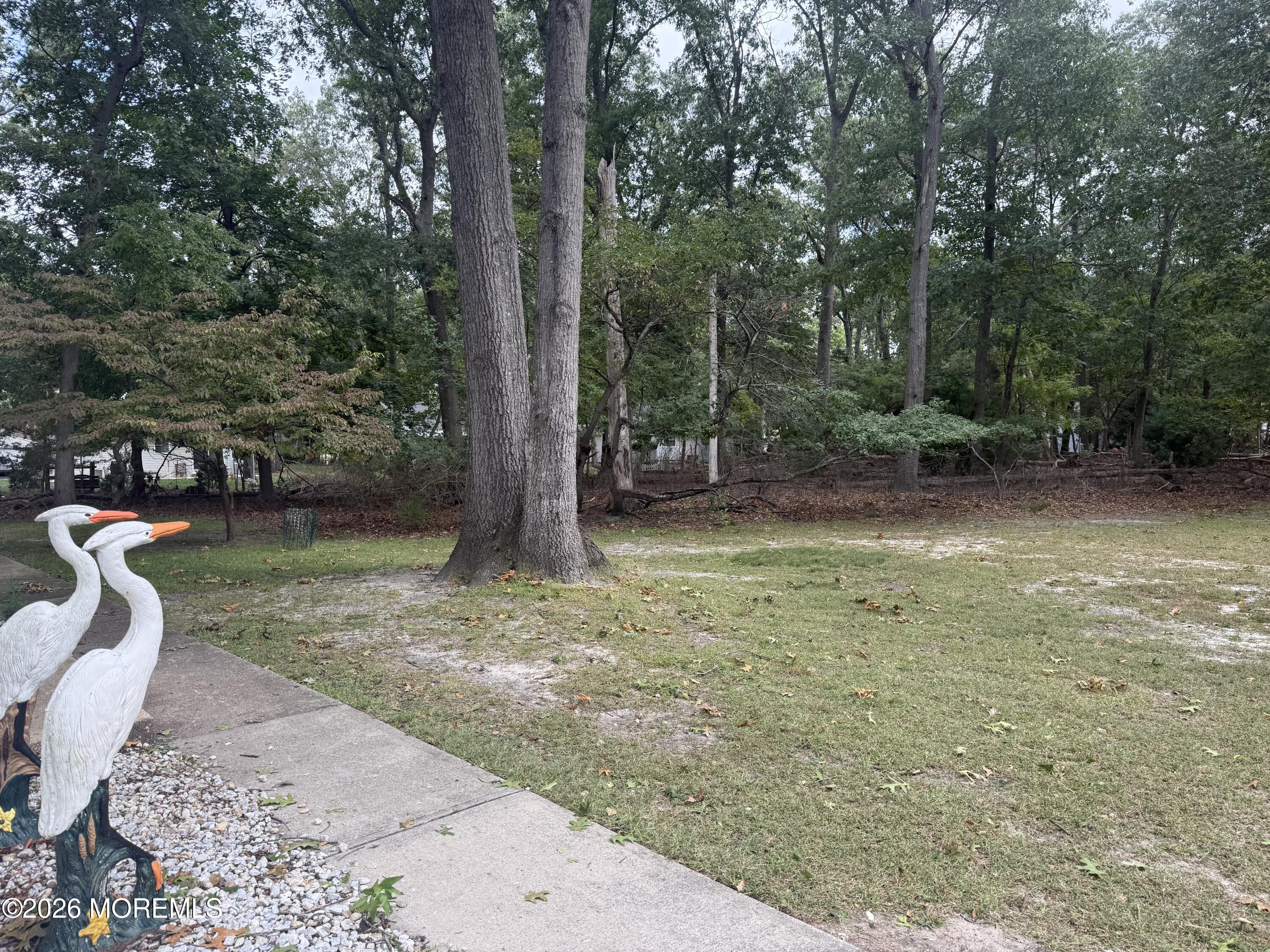 221 C Columbine Avenue Whiting NJ 08759
