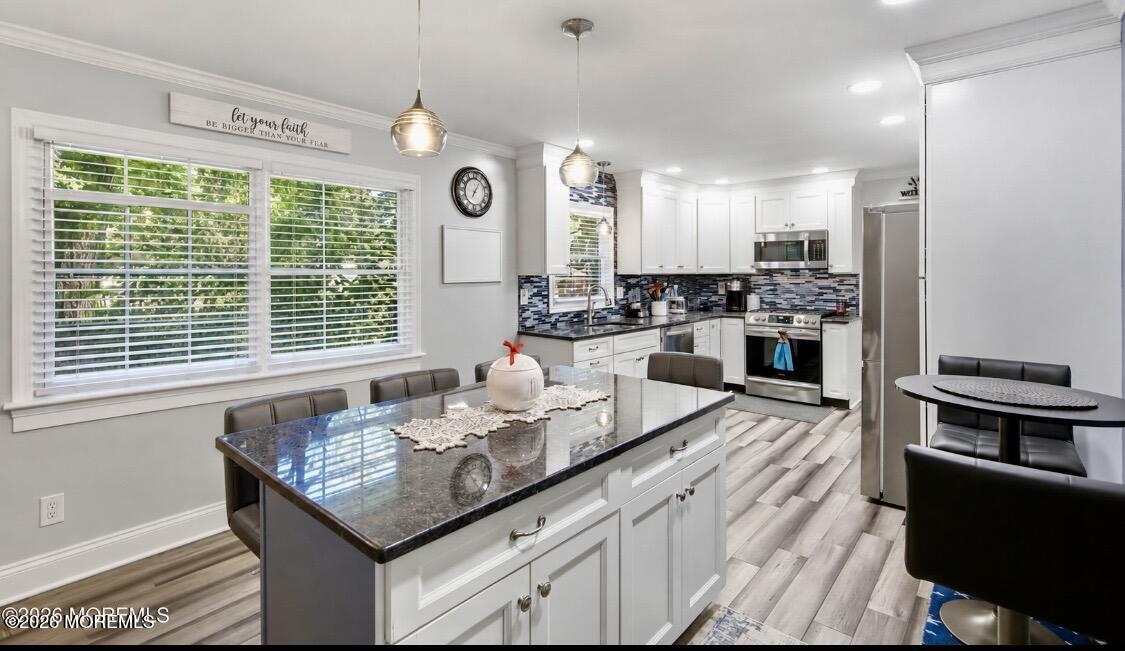 1129 Sylvan Drive Toms River NJ 08753