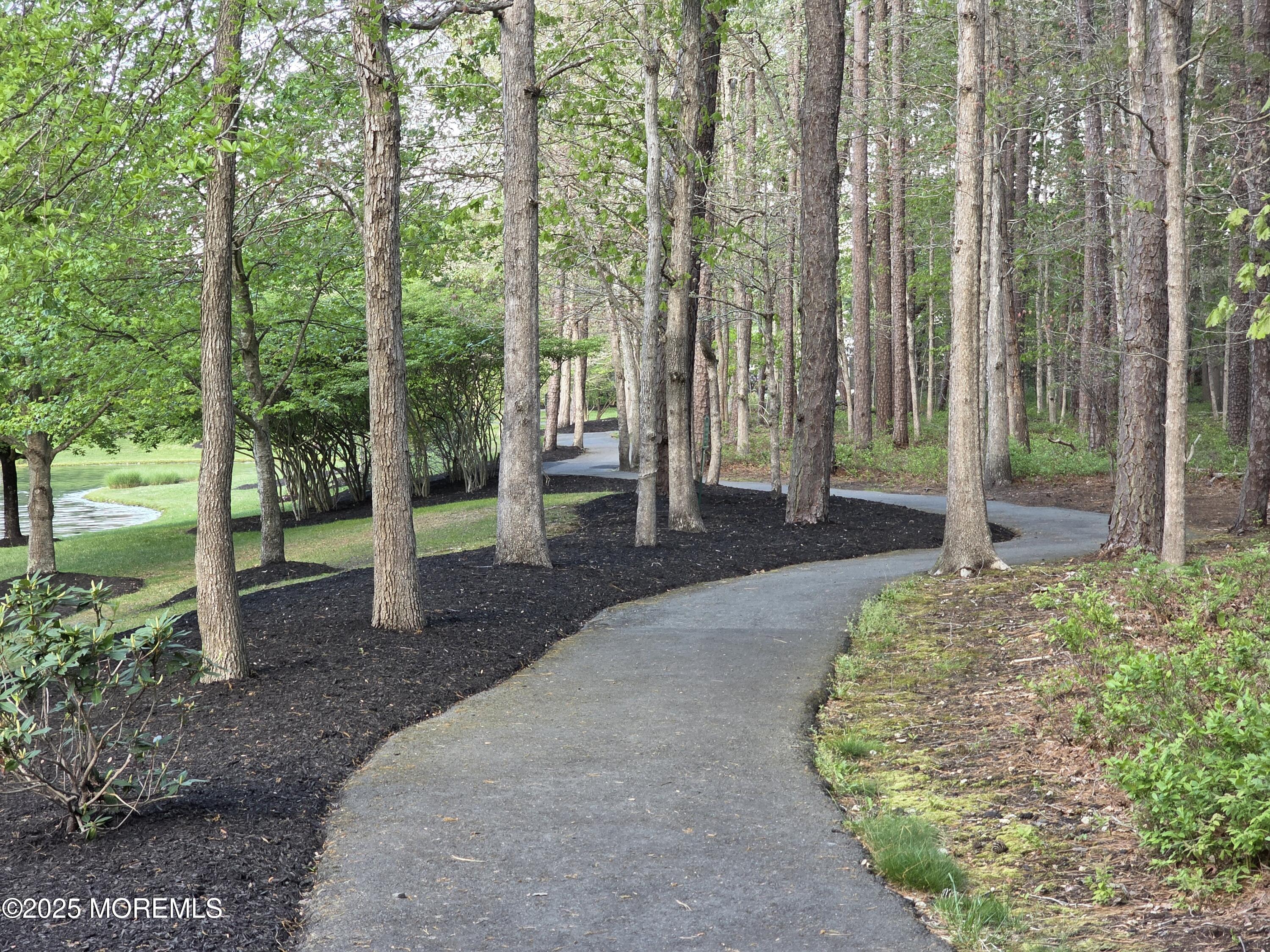 12 Marlowe Court Smithville NJ 08205
