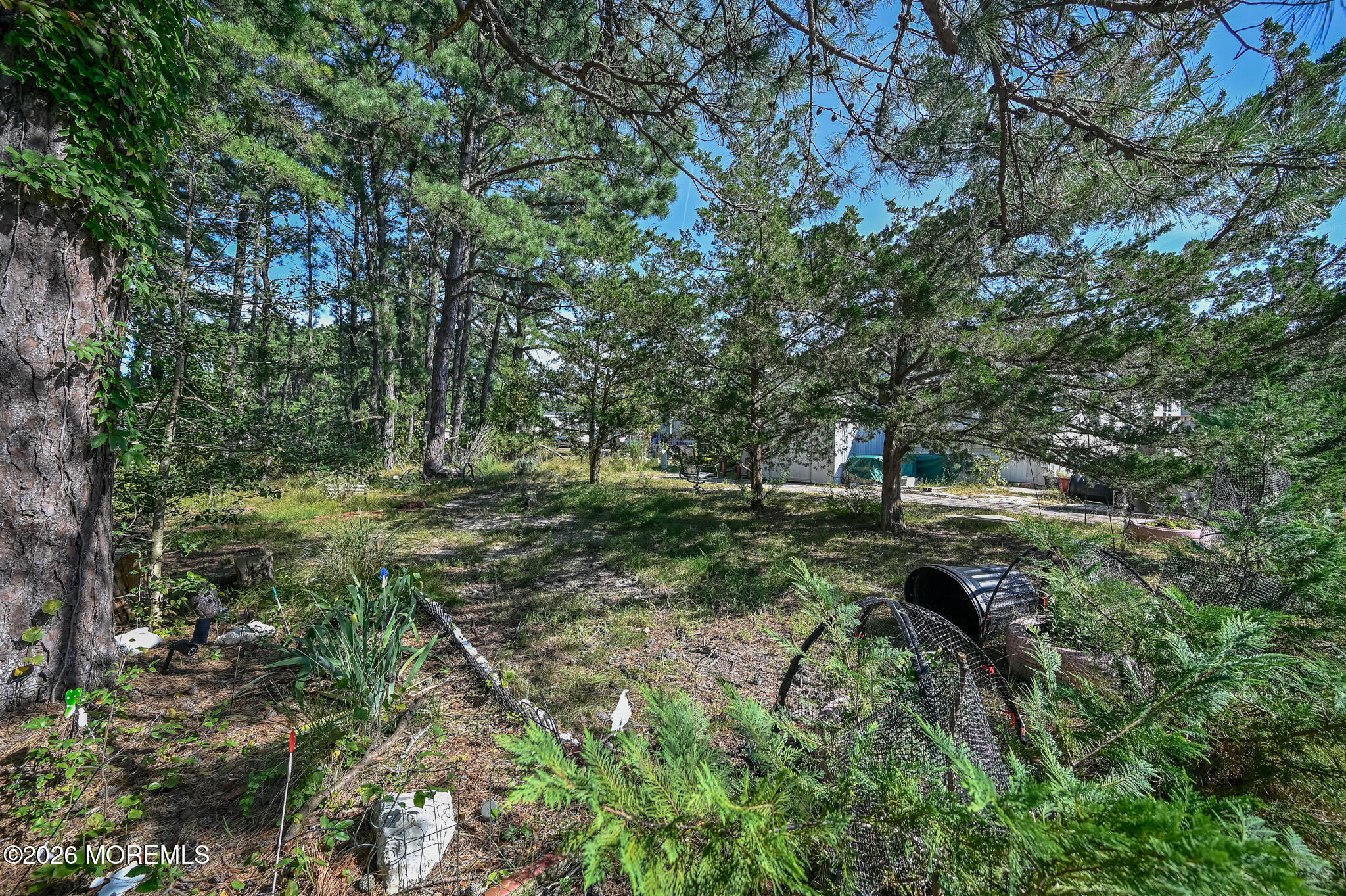6 Tern Court Whiting NJ 08759