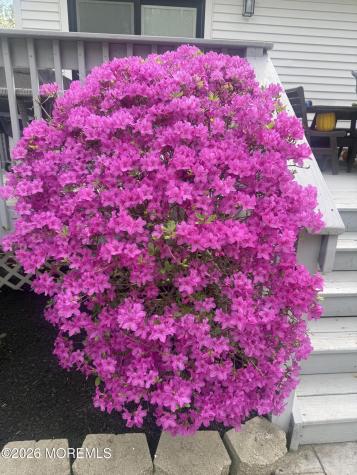 31 Bordentown Chesterfield Road Chesterfield NJ 08515