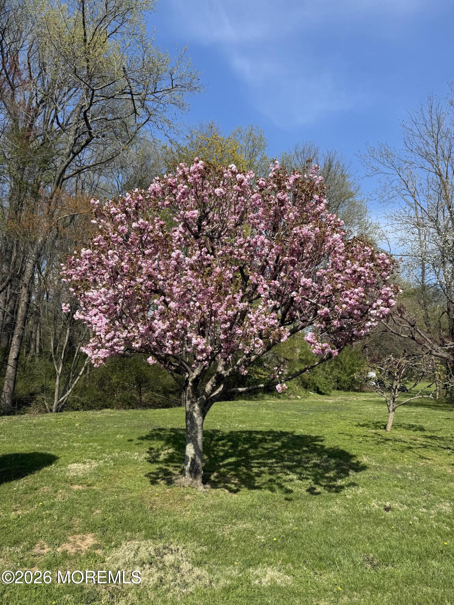 31 Bordentown Chesterfield Road Chesterfield NJ 08515