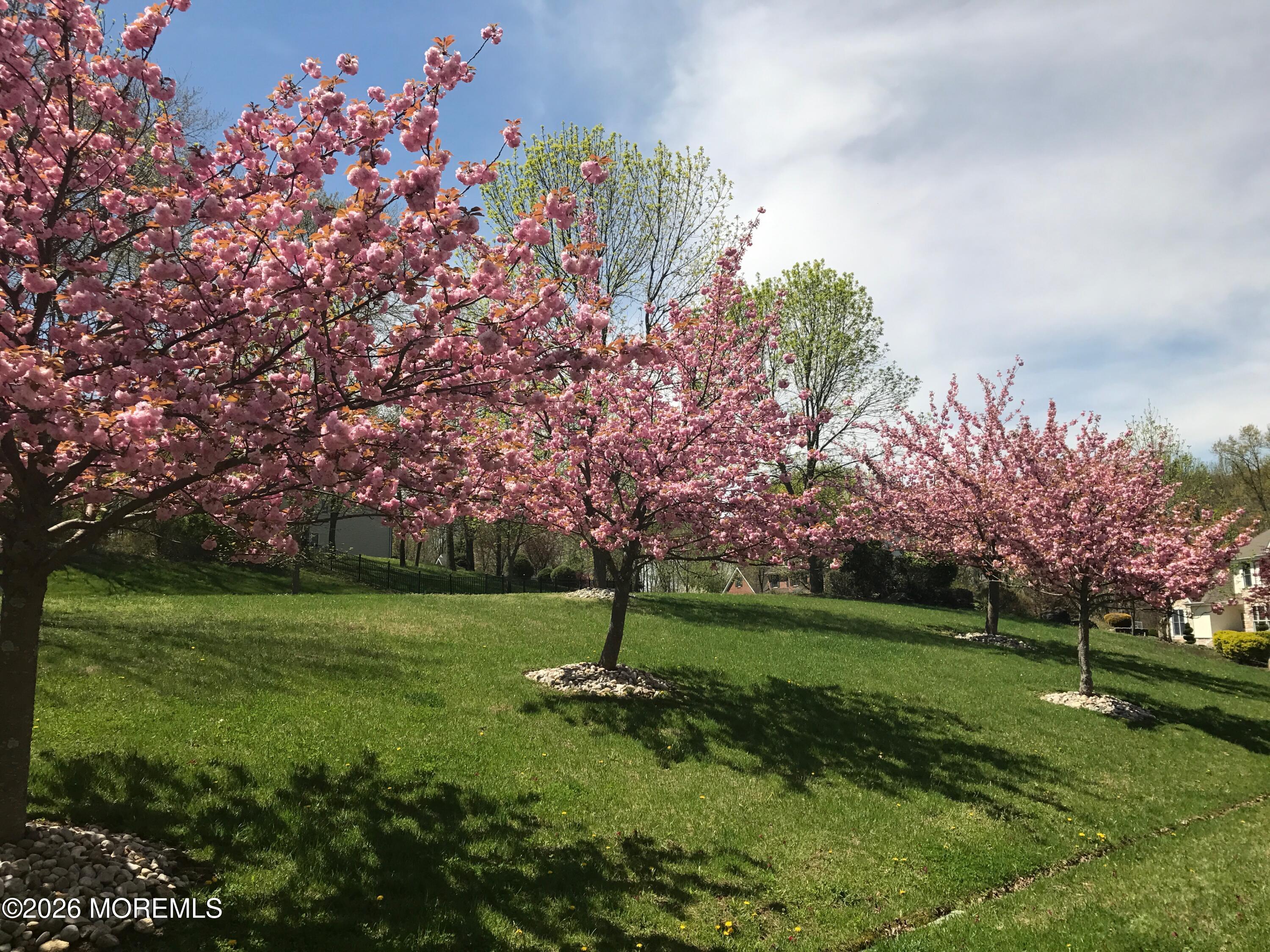11 Palmer Circle Millstone NJ 08535