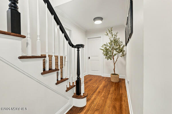 9 Buttonwood Drive Shrewsbury Boro NJ 07702