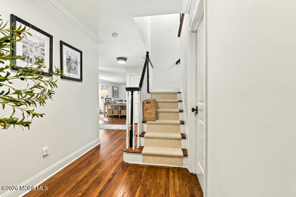 9 Buttonwood Drive Shrewsbury Boro NJ 07702