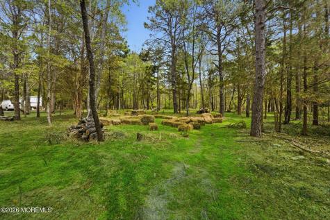 295 Frank Applegate Road Jackson NJ 08527