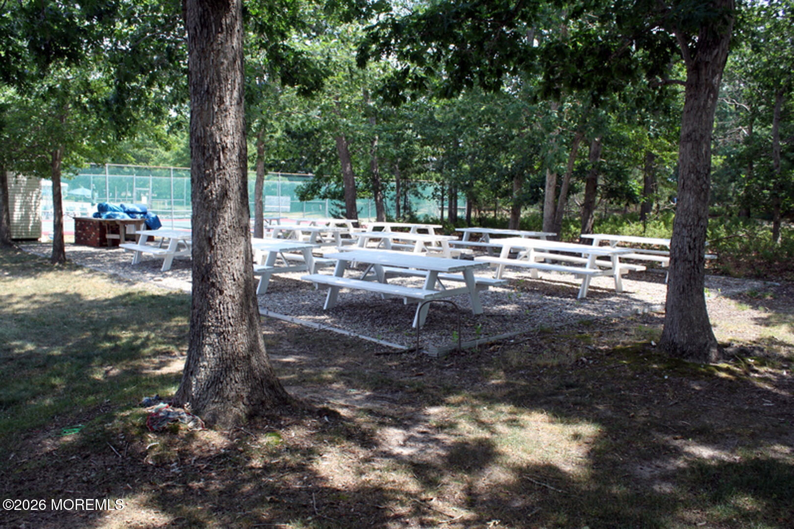12 Cottonwood Drive Barnegat NJ 08005