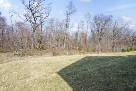 15 Ashlynn Court Manalapan NJ 07726