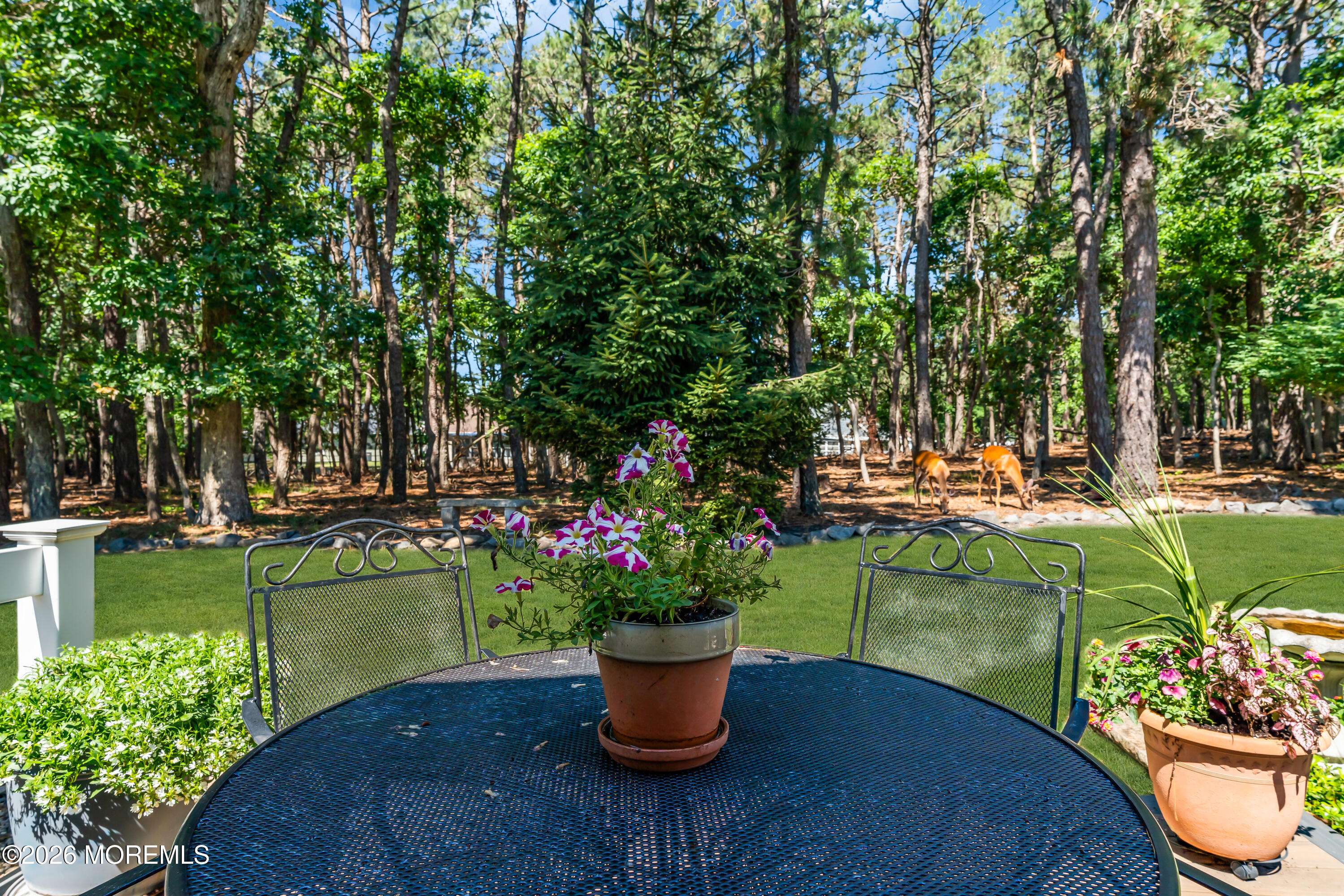 6 Surrey Court Forked River NJ 08731