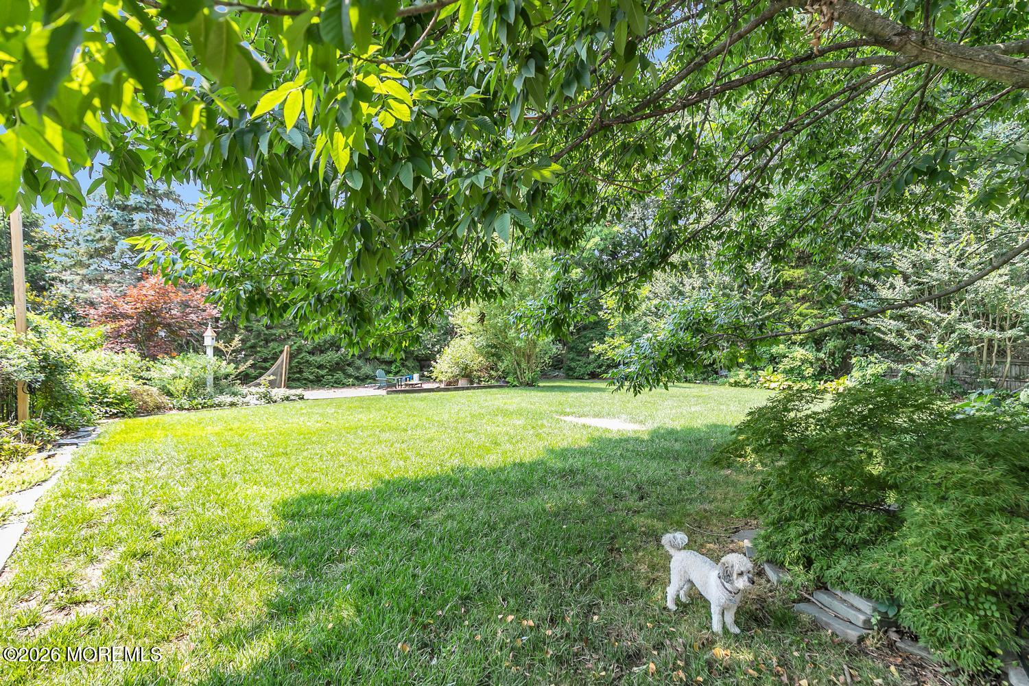 1411 Winesap Drive Manasquan NJ 08736