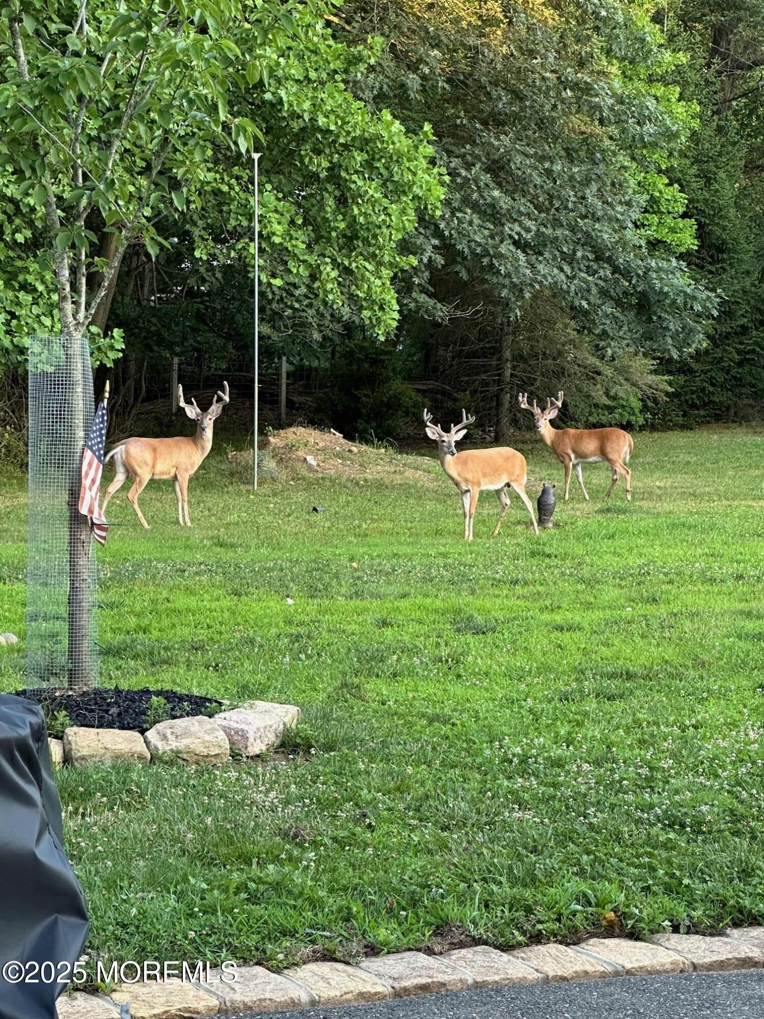 100 Richdale Road Colts Neck NJ 07722