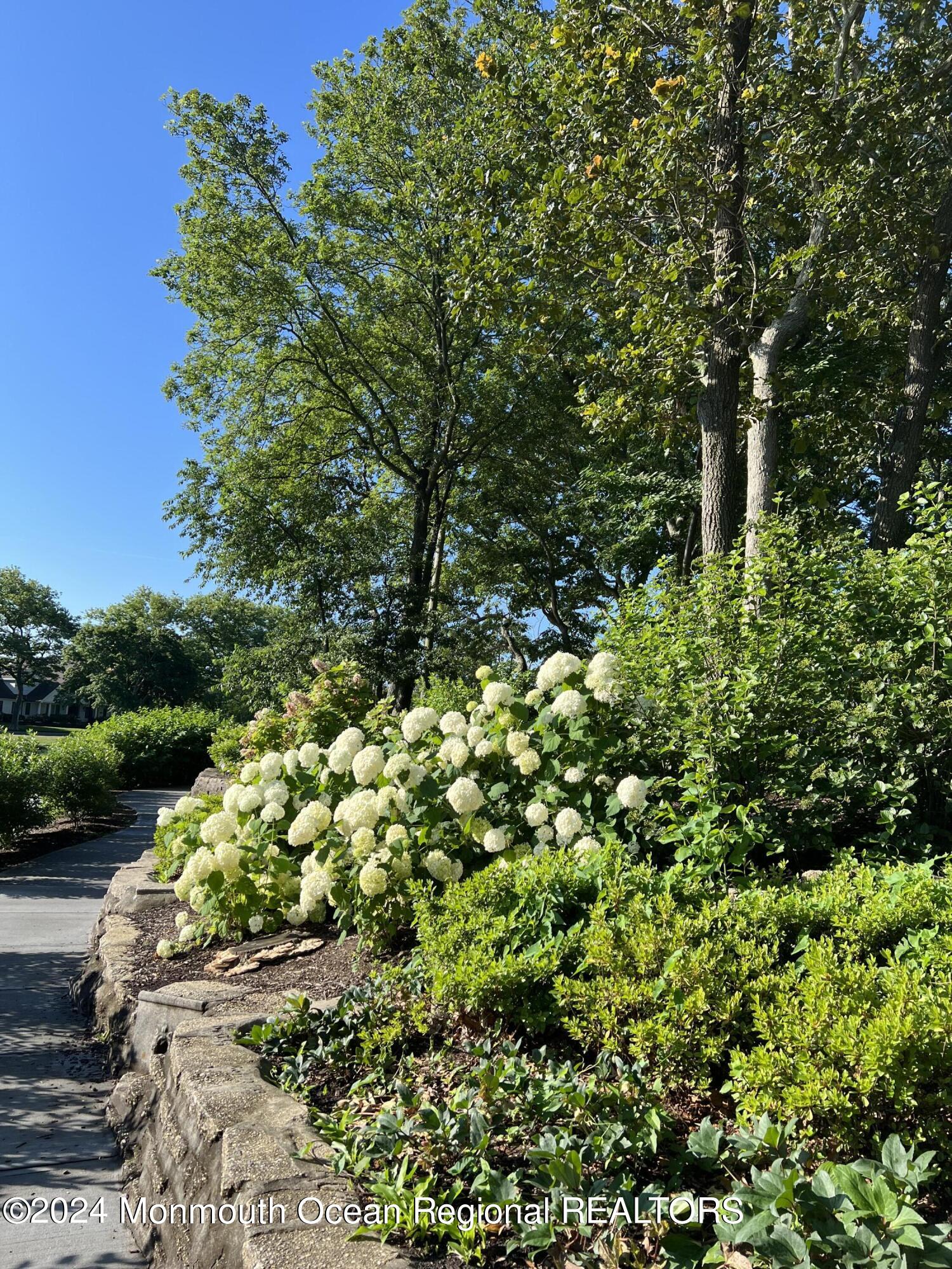 10 Seawood Way Spring Lake NJ 07762