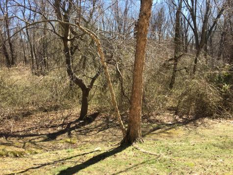 44 Poplar Lane Holmdel NJ 07733