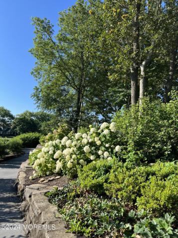 2122 Edgewood Place Spring Lake NJ 07762