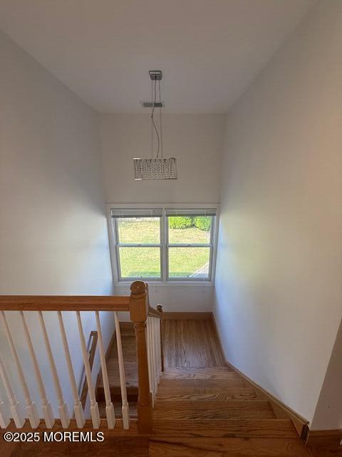 13 Wyckoff Street Deal NJ 07723