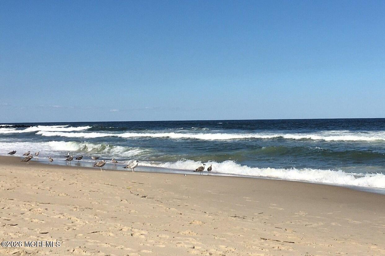 416 Salem Avenue Spring Lake NJ 07762