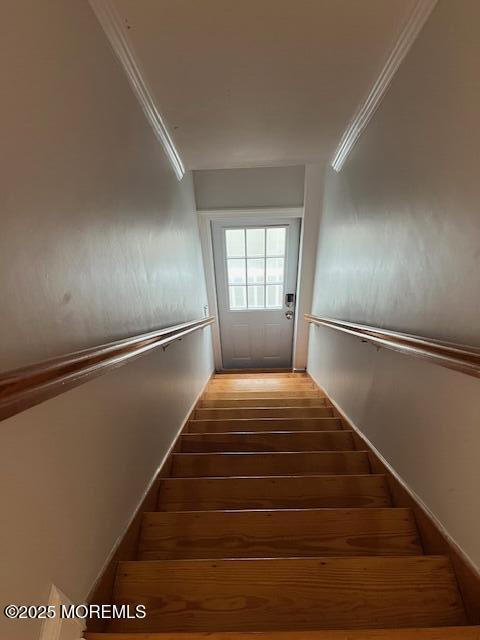 216 Ocean Avenue Sea Bright NJ 07760