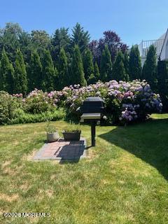 317 Pitney Avenue Spring Lake NJ 07762