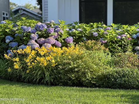 513 Morris Avenue Spring Lake NJ 07762