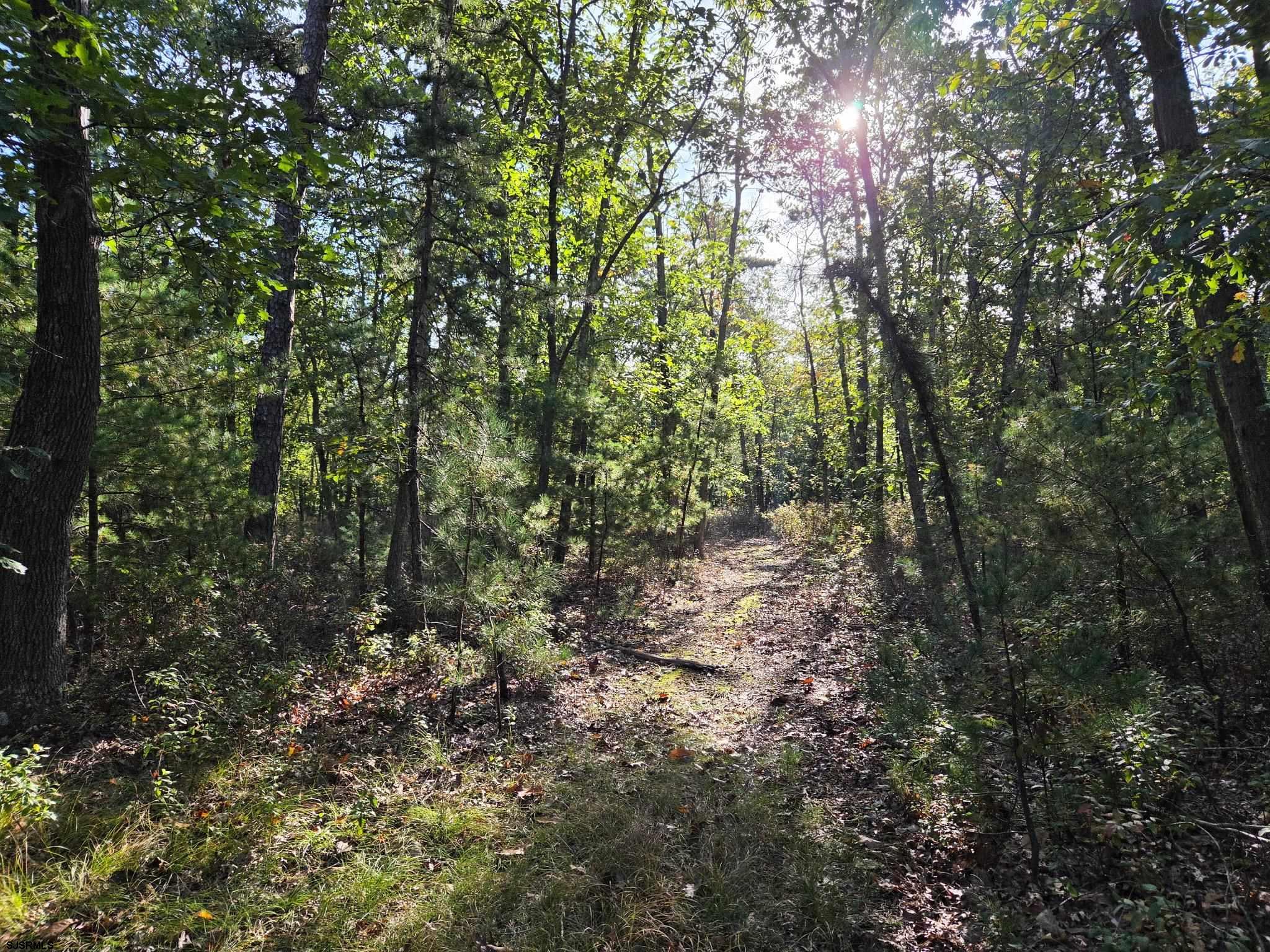 2050 Skip Morgan Drive Hamilton Township NJ 08330