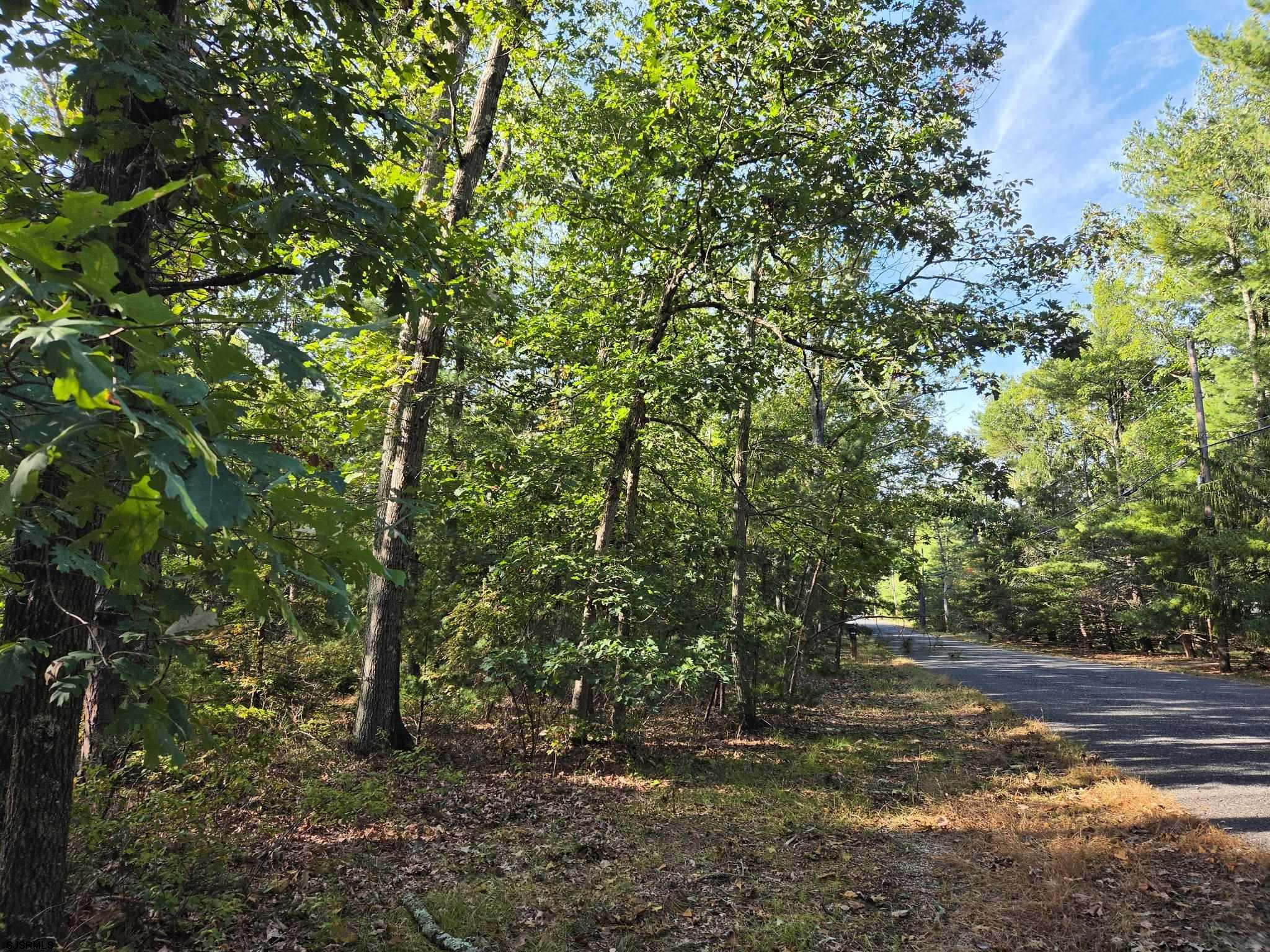 2050 Skip Morgan Drive Hamilton Township NJ 08330