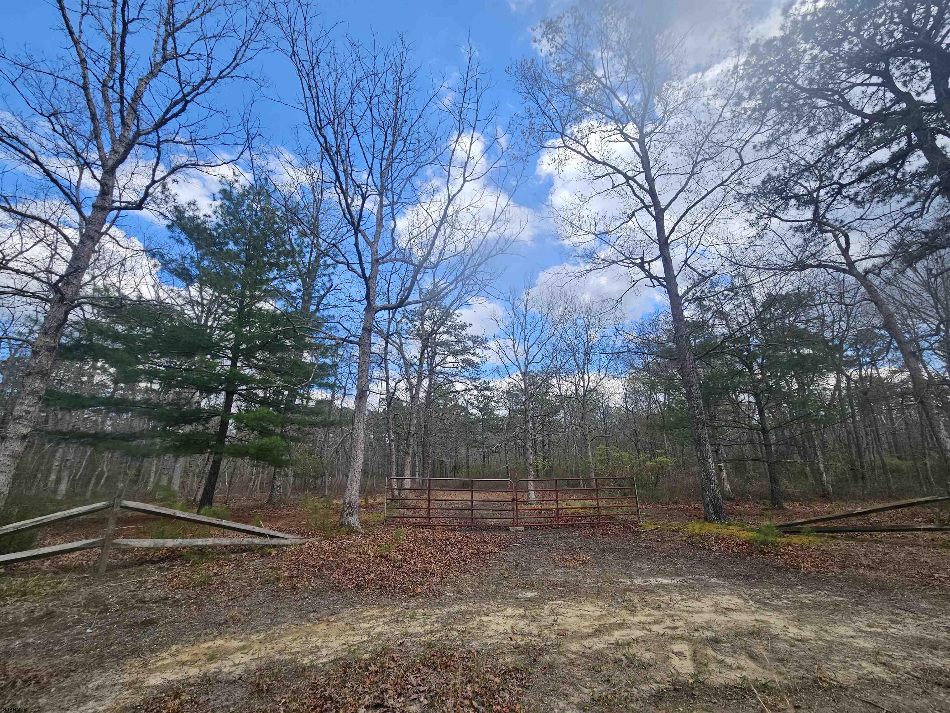 Deerwood Avenue Milmay NJ 08340