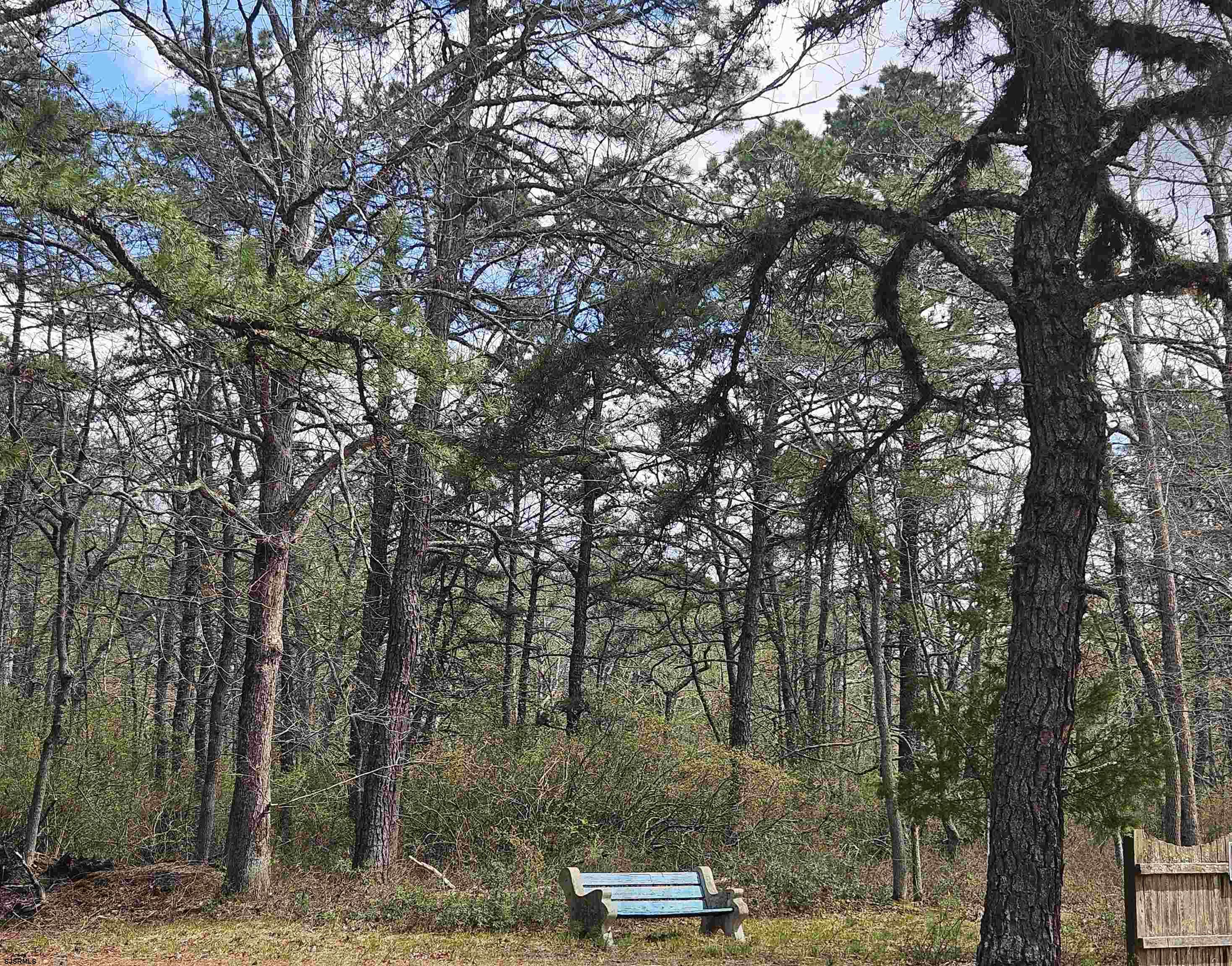 Deerwood Avenue Milmay NJ 08340