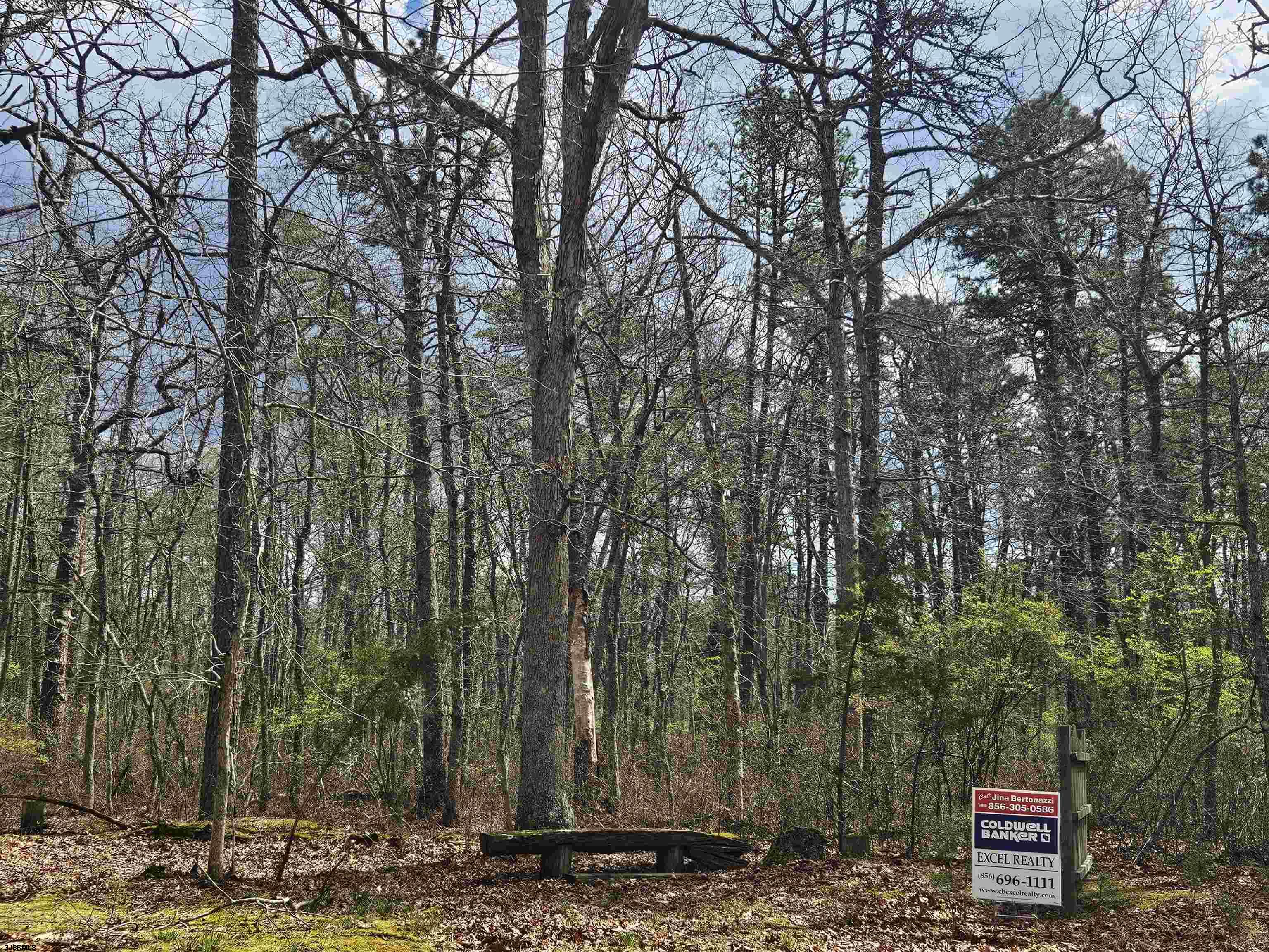 Deerwood Avenue Milmay NJ 08340