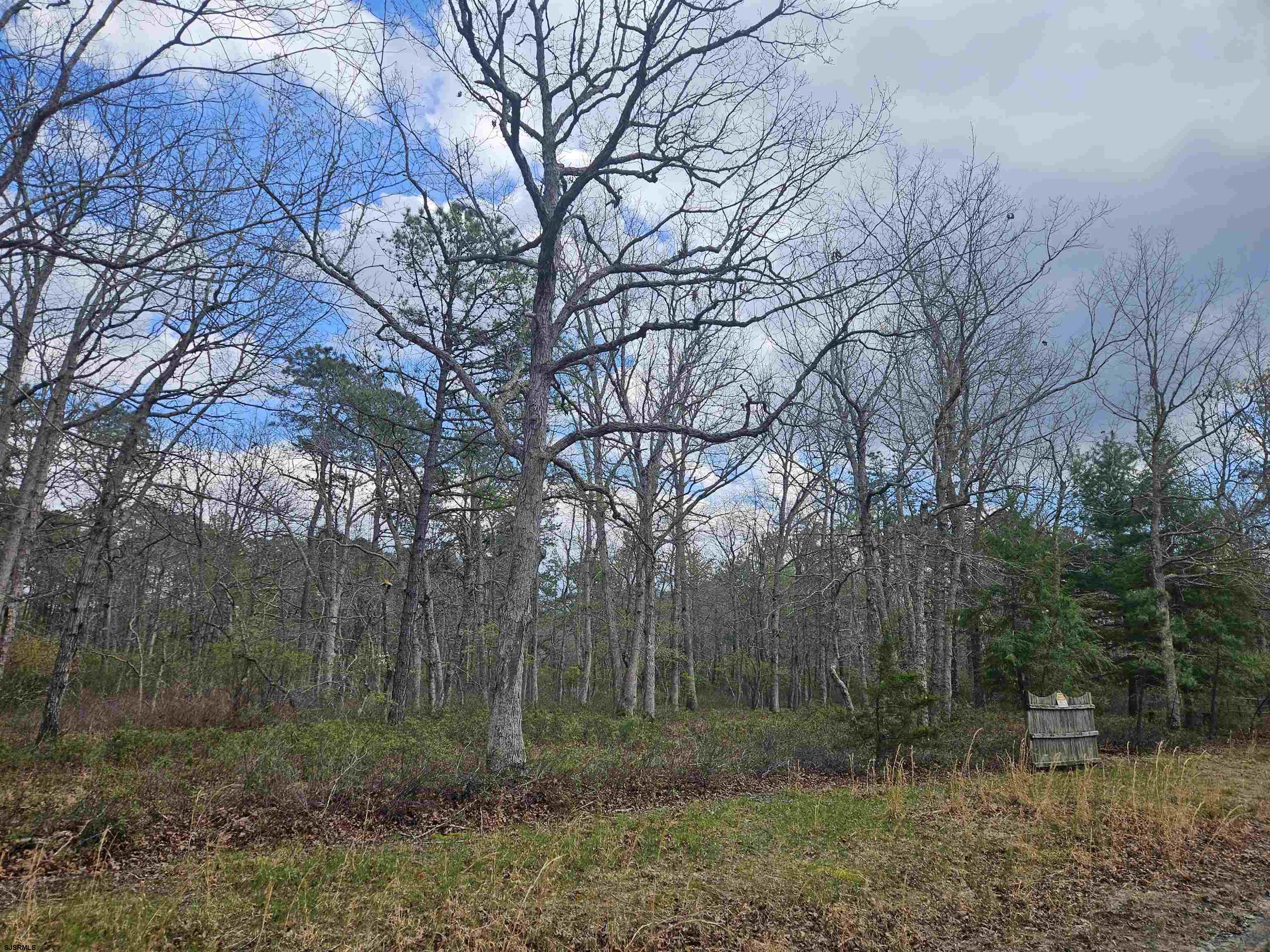 Deerwood Avenue Milmay NJ 08340
