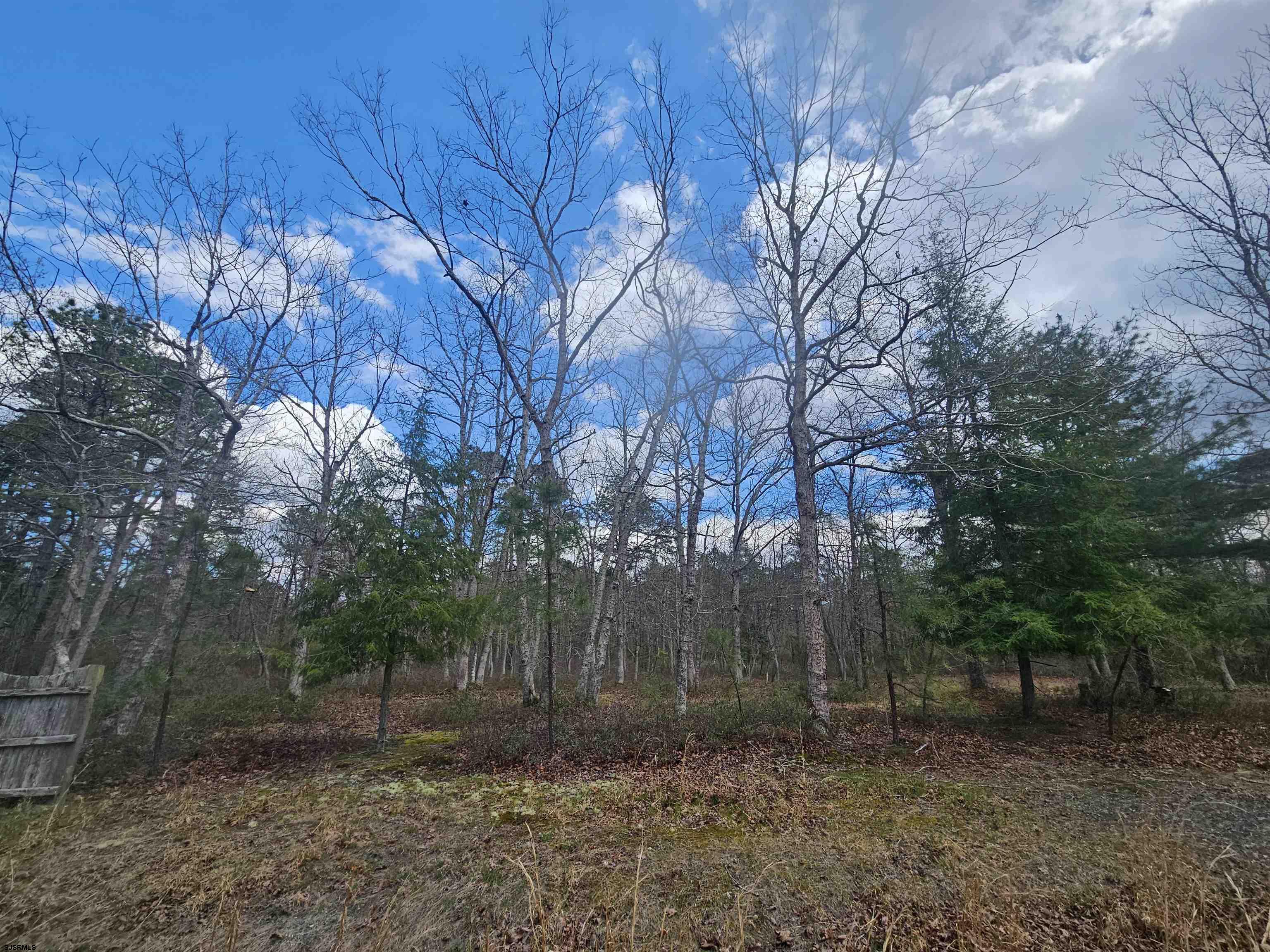 Deerwood Avenue Milmay NJ 08340