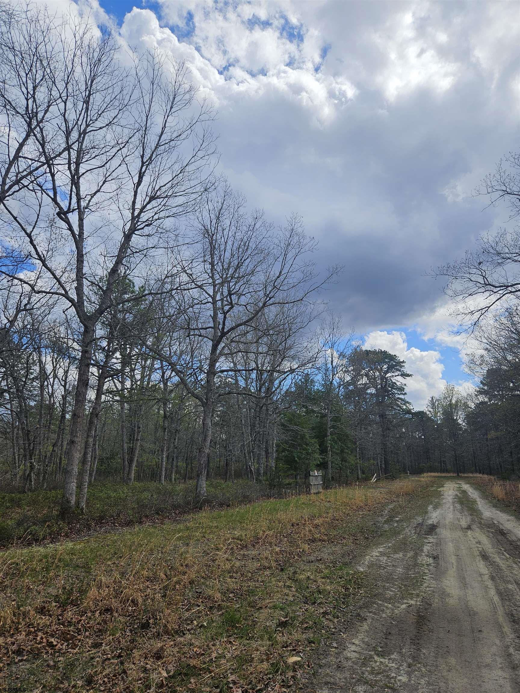Deerwood Avenue Milmay NJ 08340