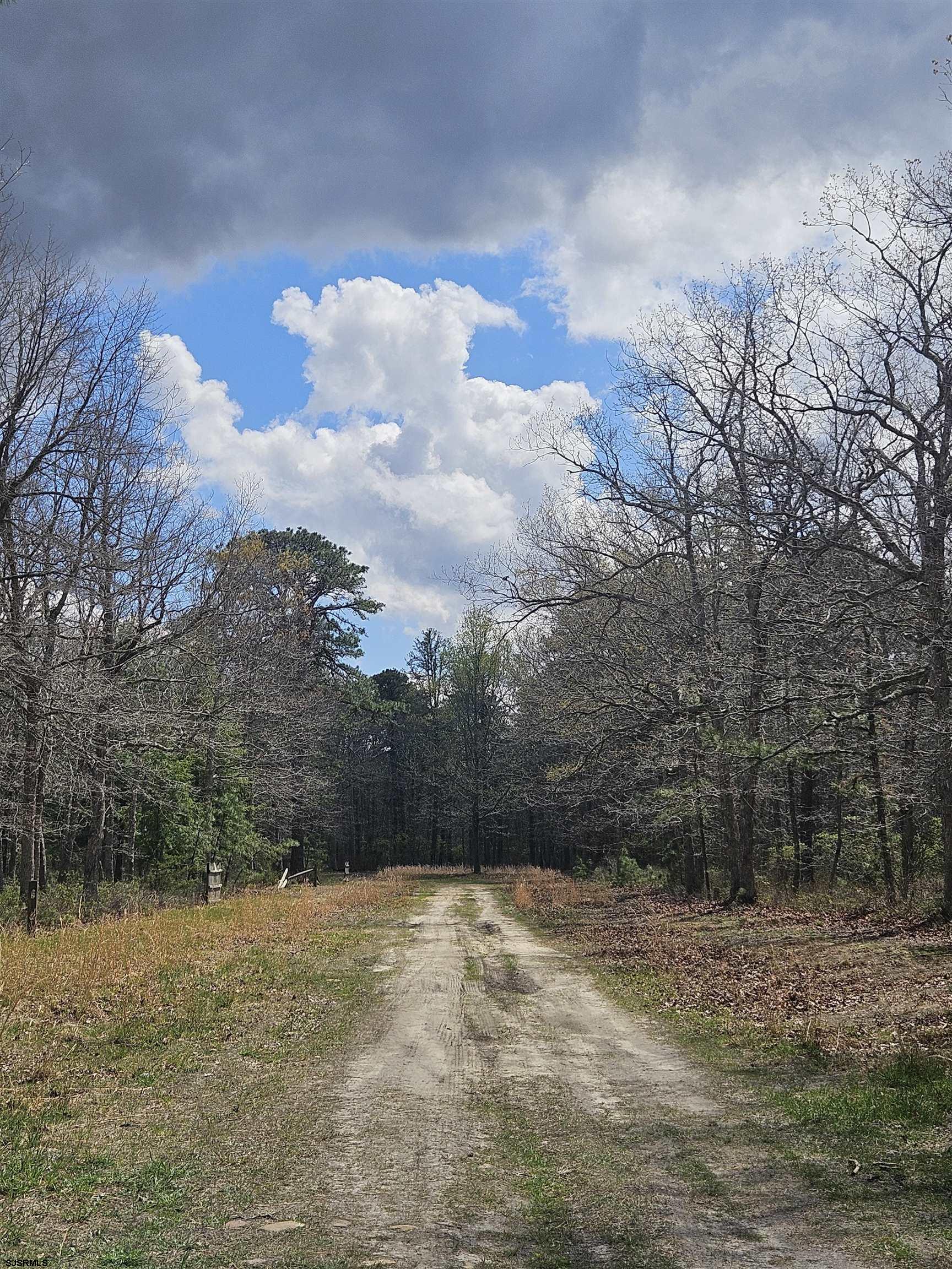 Deerwood Avenue Milmay NJ 08340