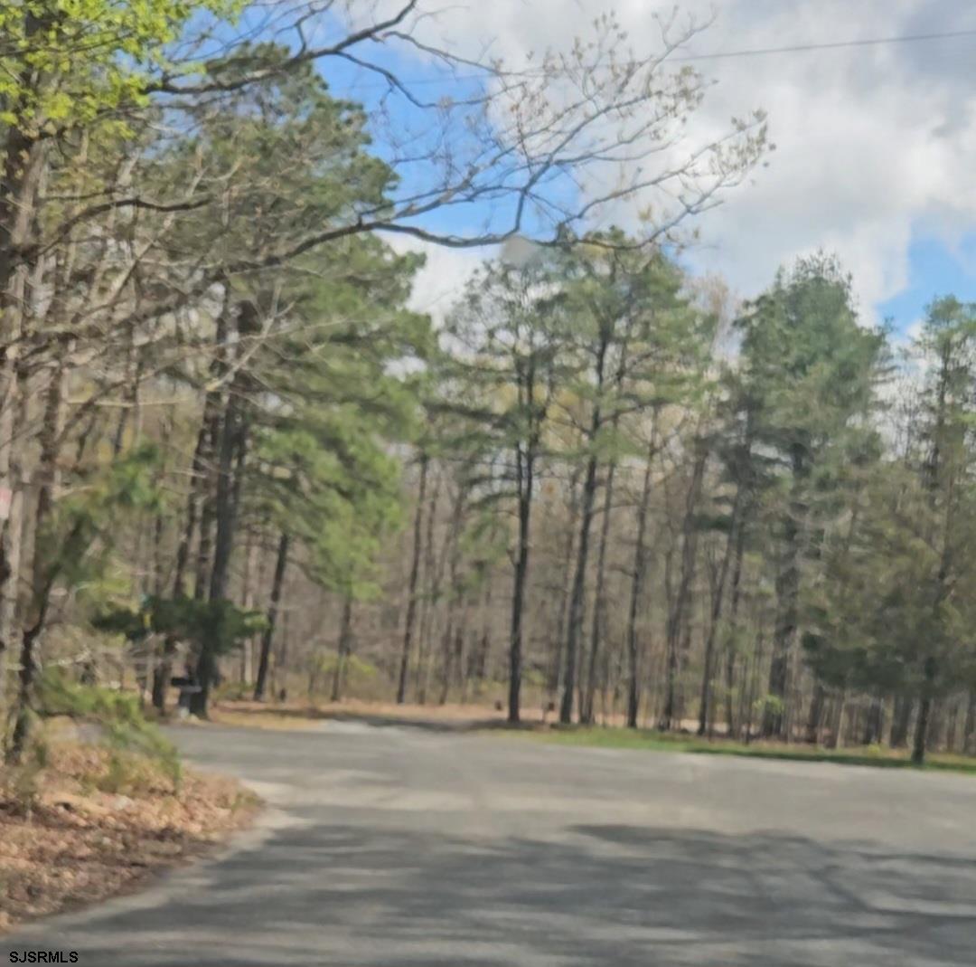 Deerwood Avenue Milmay NJ 08340