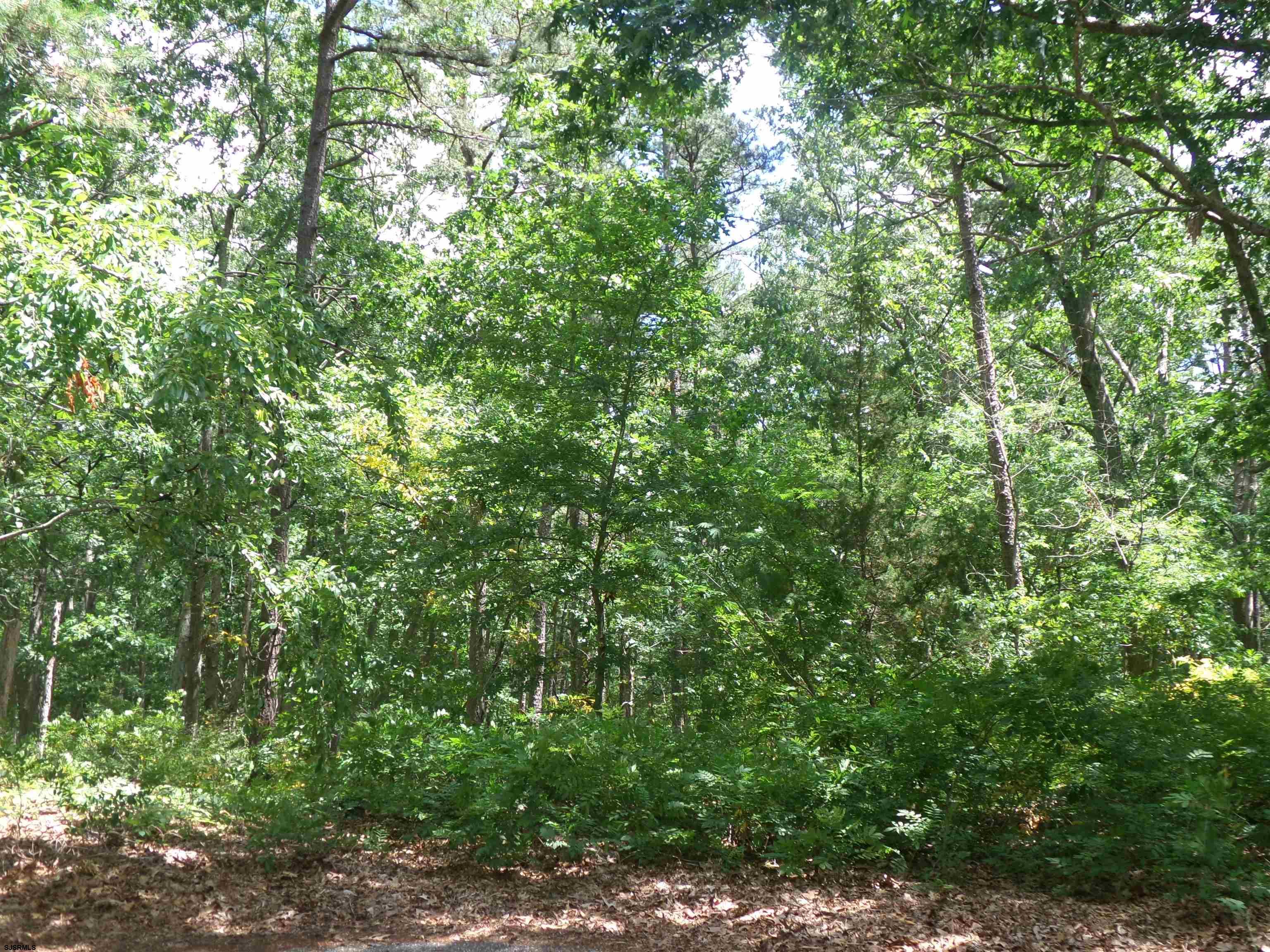 0 Columbus Avenue Galloway Township NJ 08205