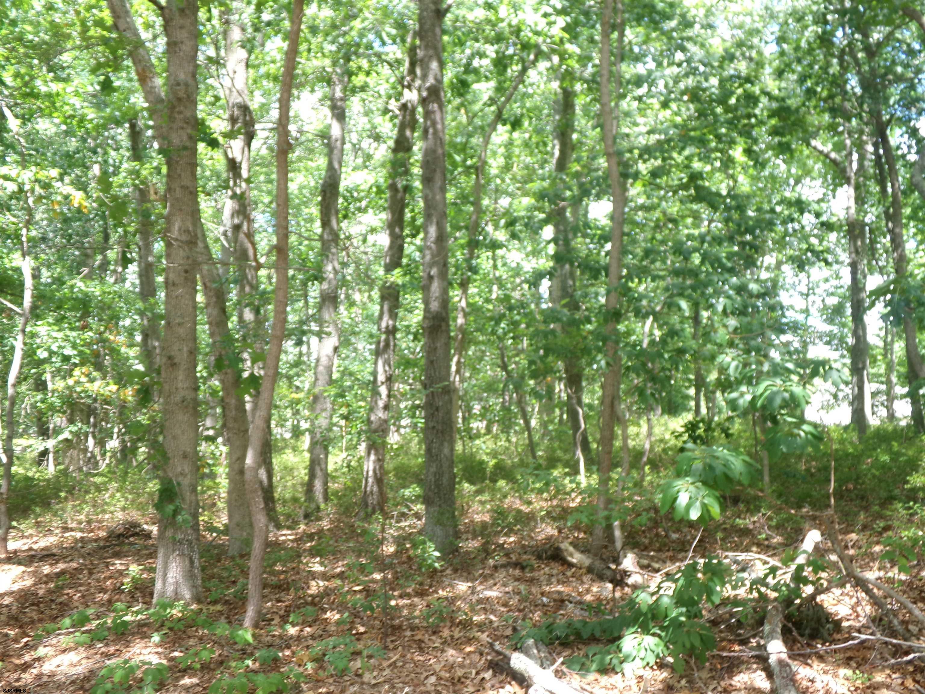 0 Columbus Avenue Galloway Township NJ 08205