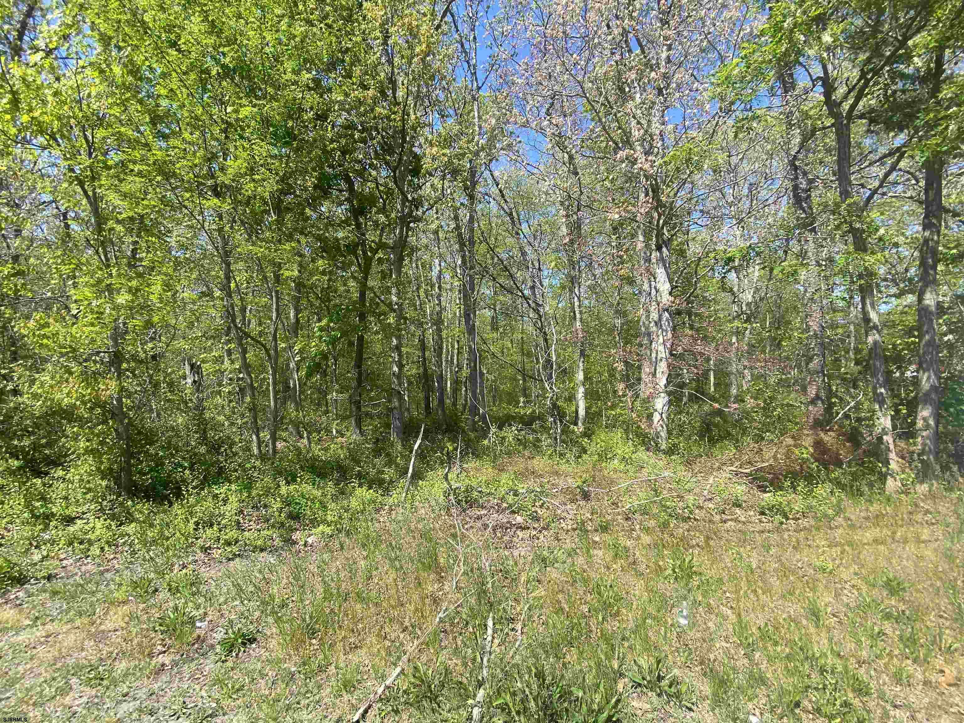 00 California Avenue Absecon NJ 08201