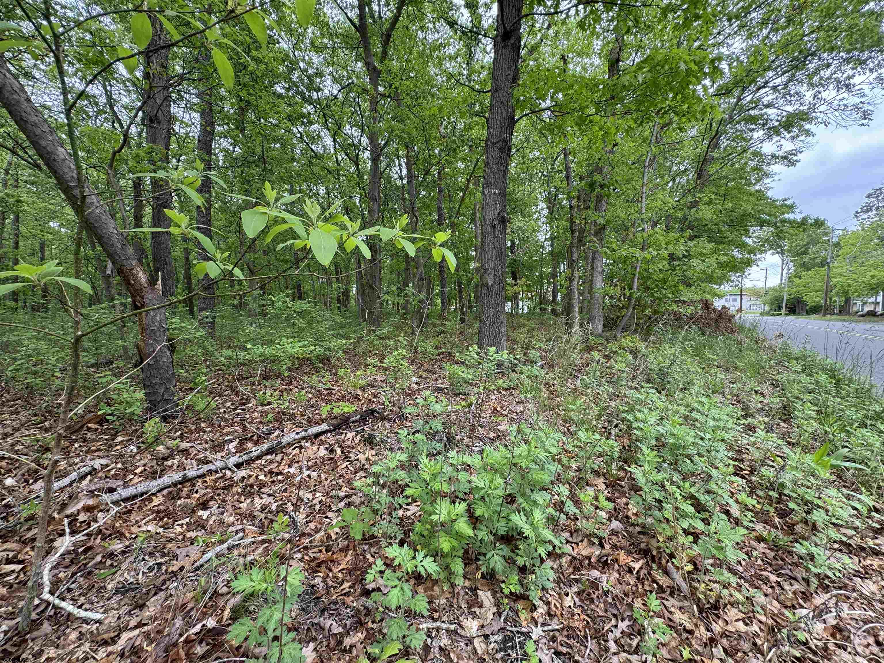 L15 L15 02 Ash Avenue Galloway Township NJ 08205