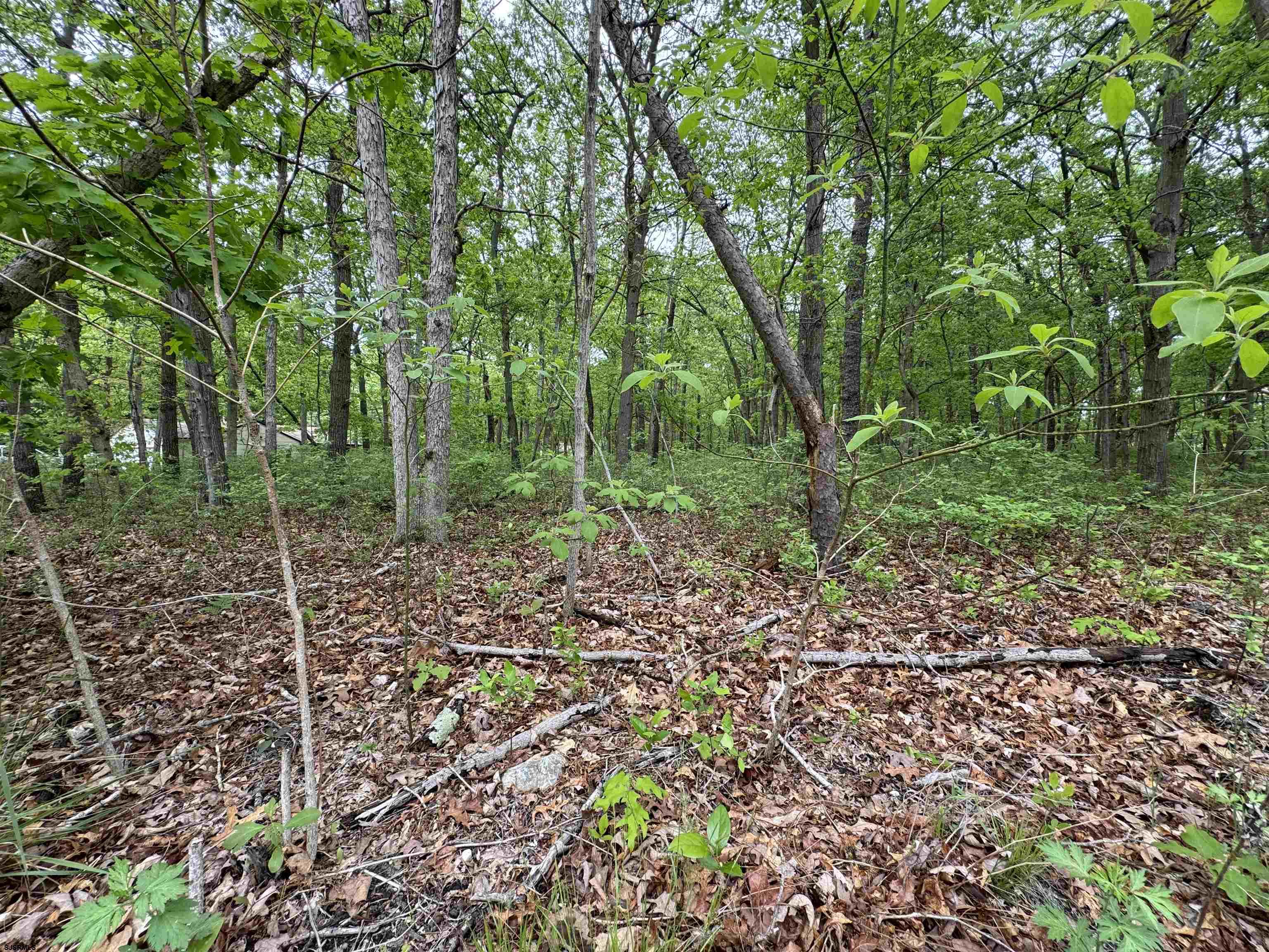 L15 L15 02 Ash Avenue Galloway Township NJ 08205