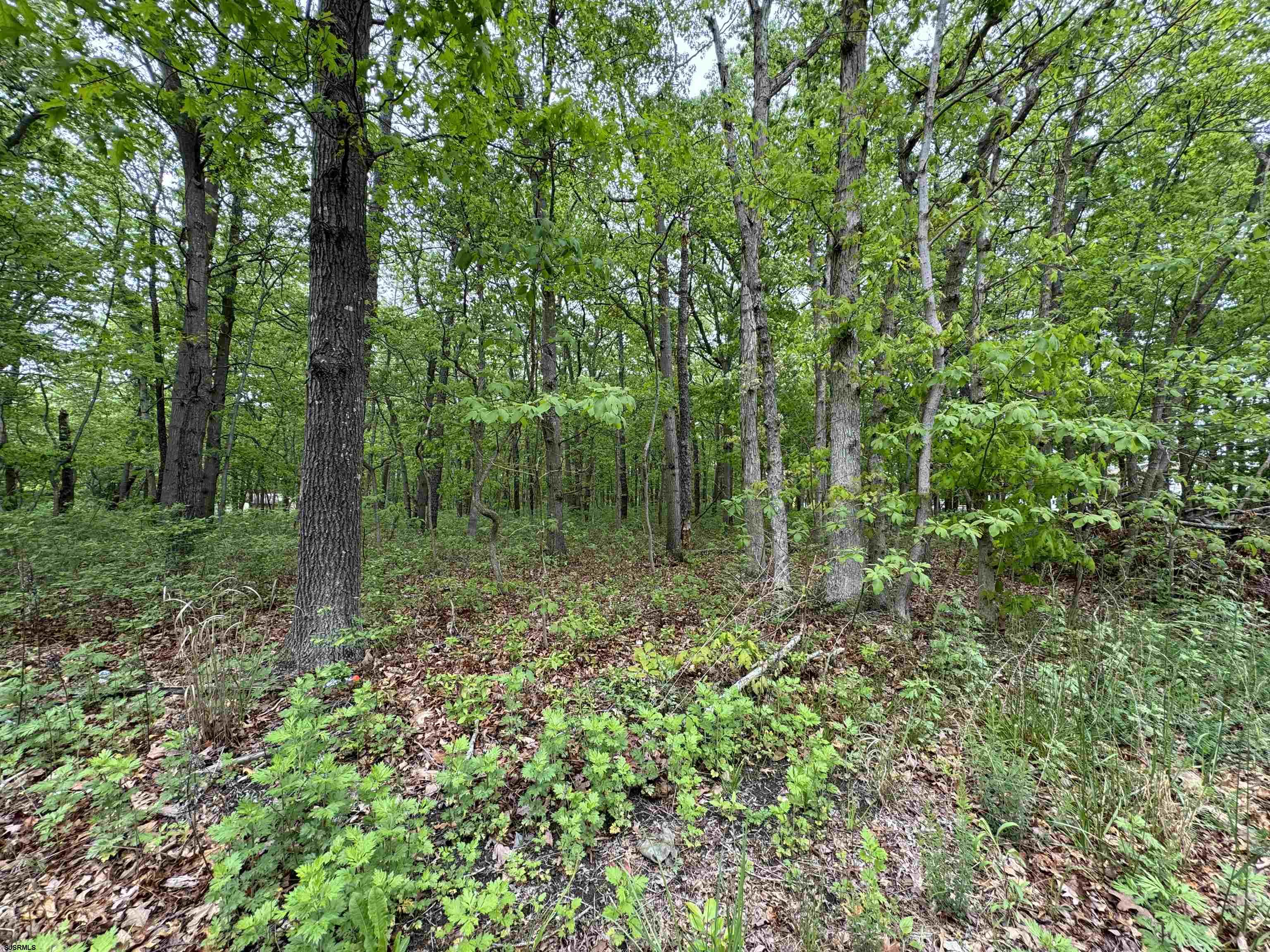 L15 L15 02 Ash Avenue Galloway Township NJ 08205