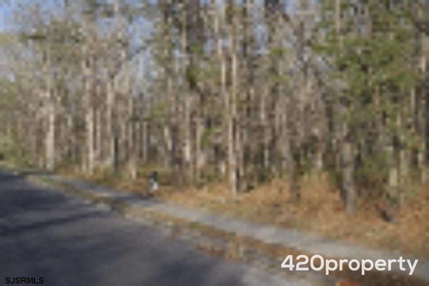 1410 Cantillon Boulevard Mays Landing NJ 08330-1141