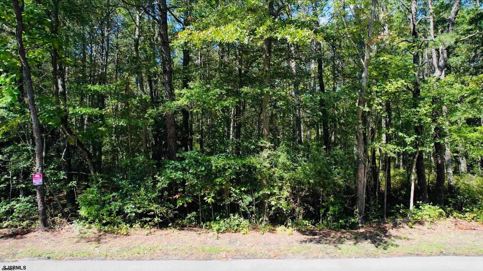 6418 Reega Avenue Egg Harbor Township NJ 08234